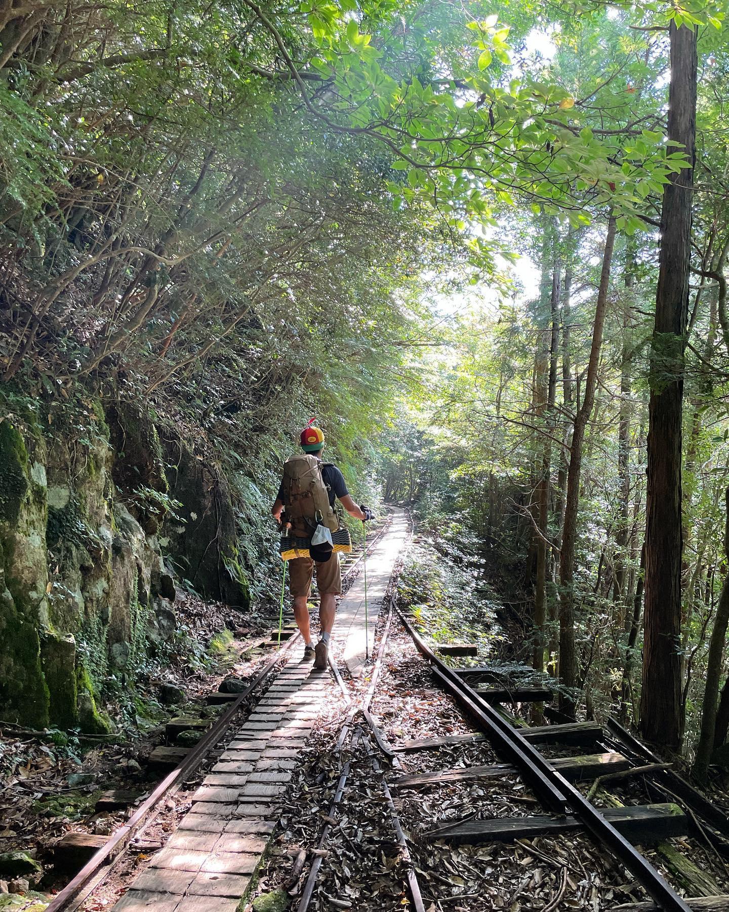 #トロッコ道&nbsp;#屋久島(屋久島町)-1
