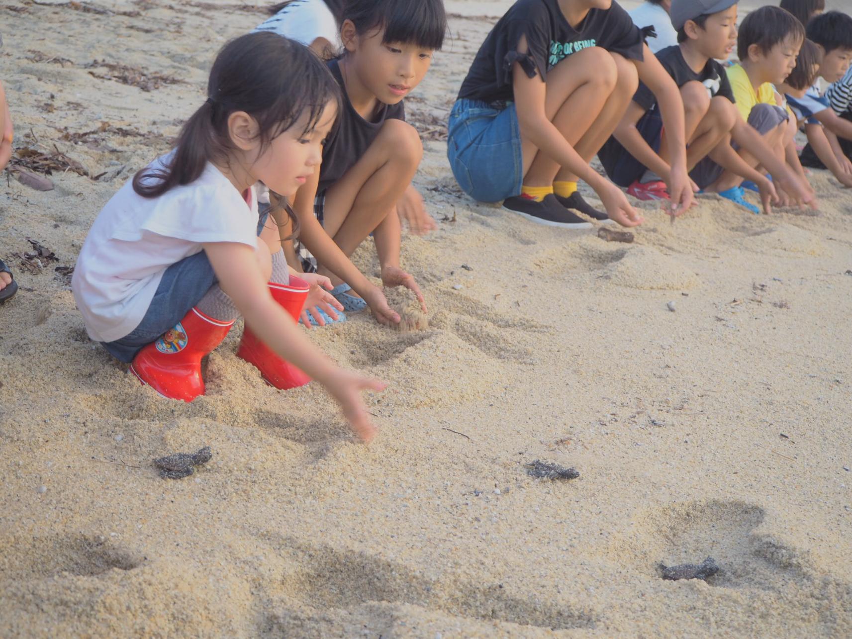 #ウミガメの放流 #屋久島(屋久島町)-1