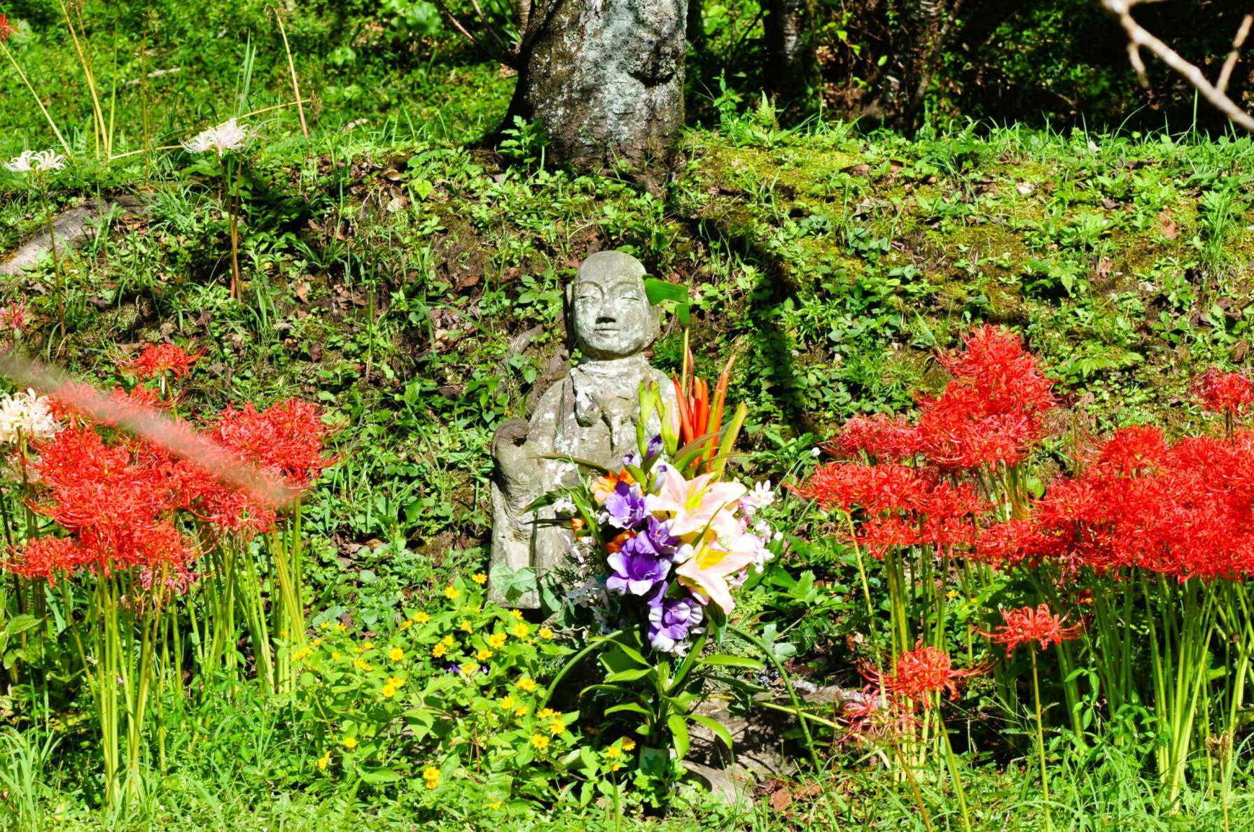 #岩屋公園&nbsp;#南九州市-1