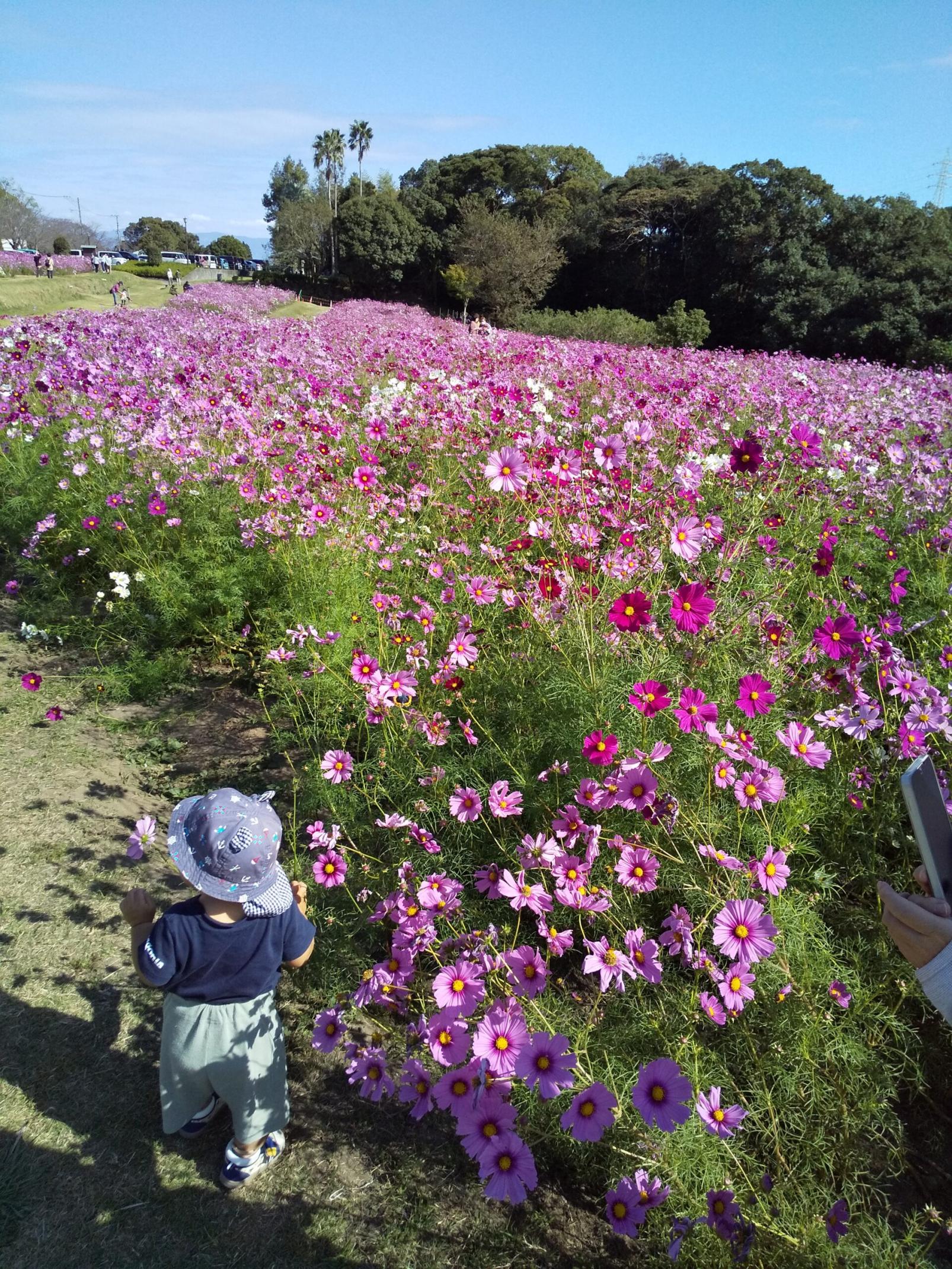 #慈眼寺公園 #鹿児島市-1