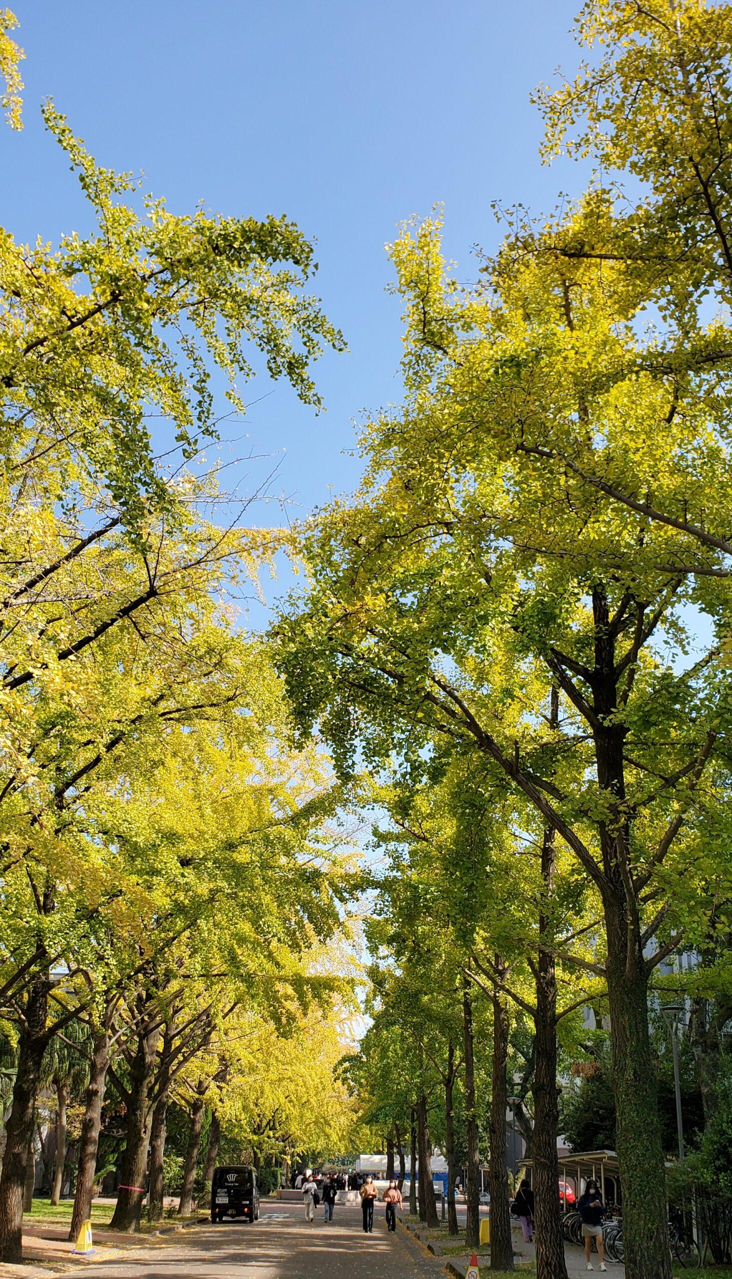 #鹿児島大学 大学祭&nbsp;#鹿児島市-1