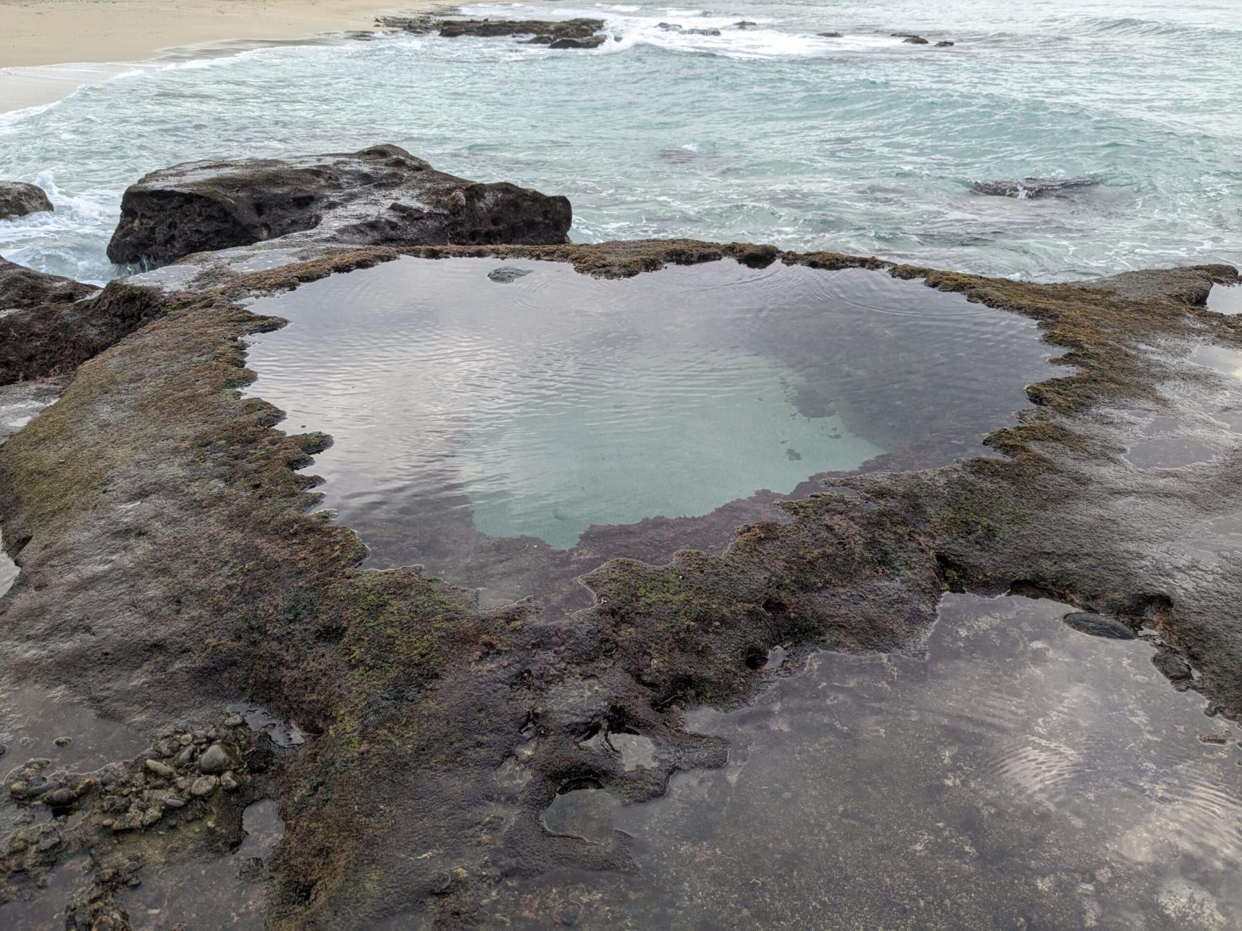 #ハートロック&nbsp;#奄美大島(龍郷町)-1