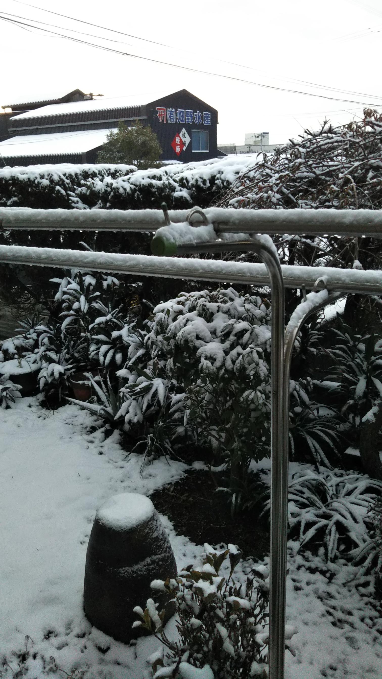 #枕崎でも雪&nbsp;#枕崎市-1