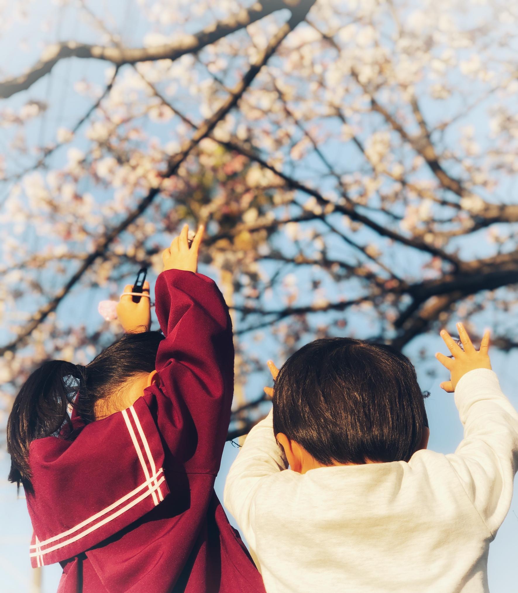 #国分自衛隊正門前&nbsp;#霧島市-1