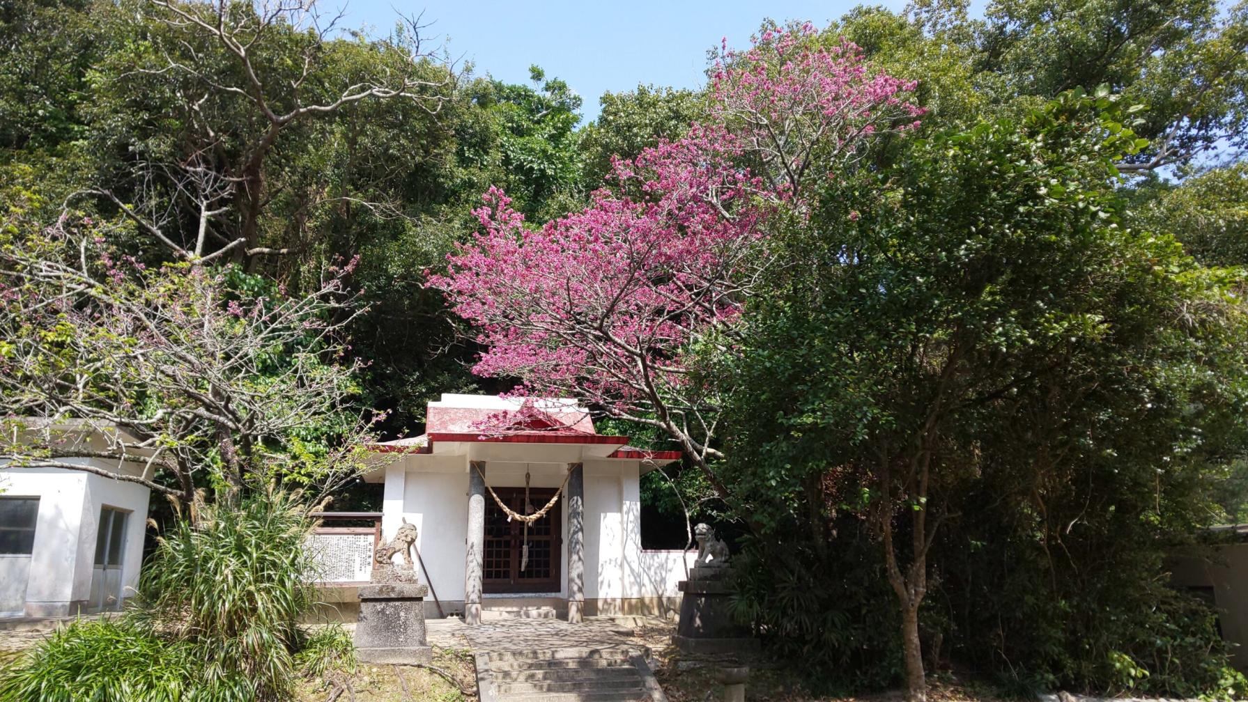 #大屯神社&nbsp;#瀬戸内町-1