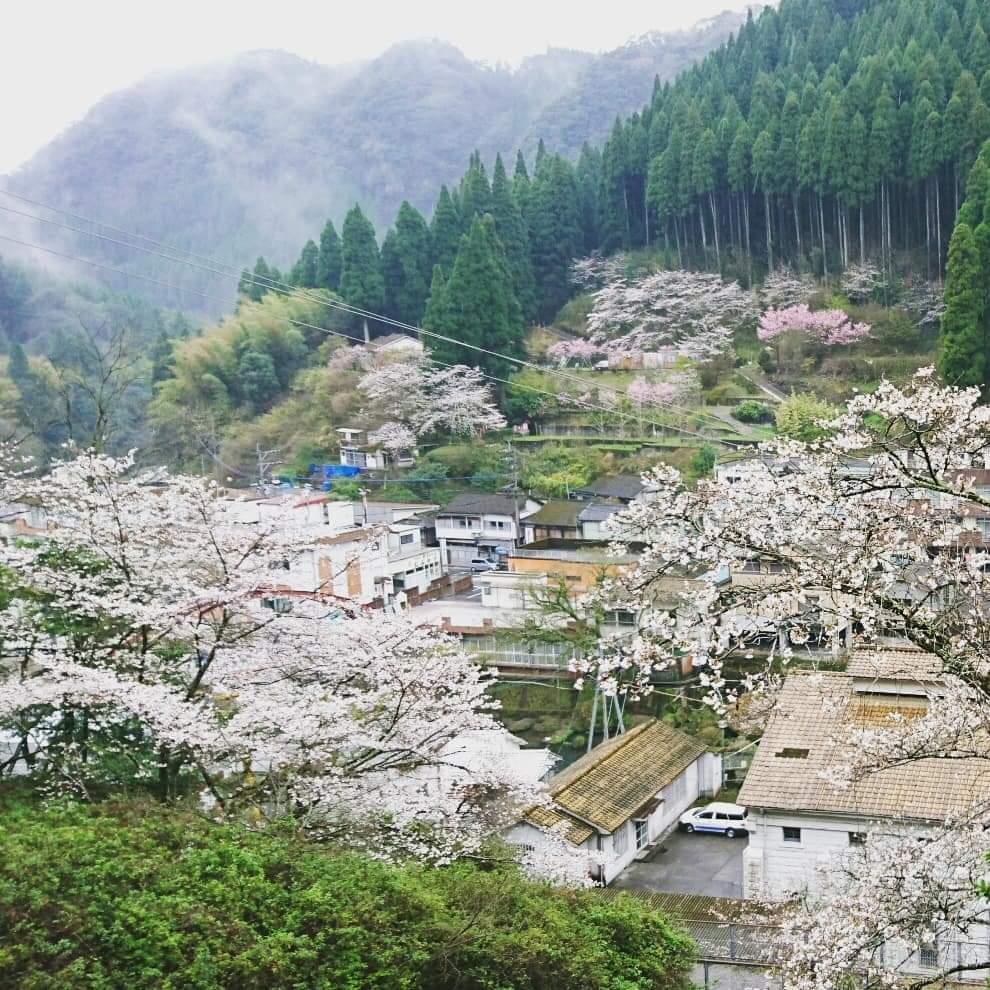 #妙見温泉郷&nbsp;#霧島市-1