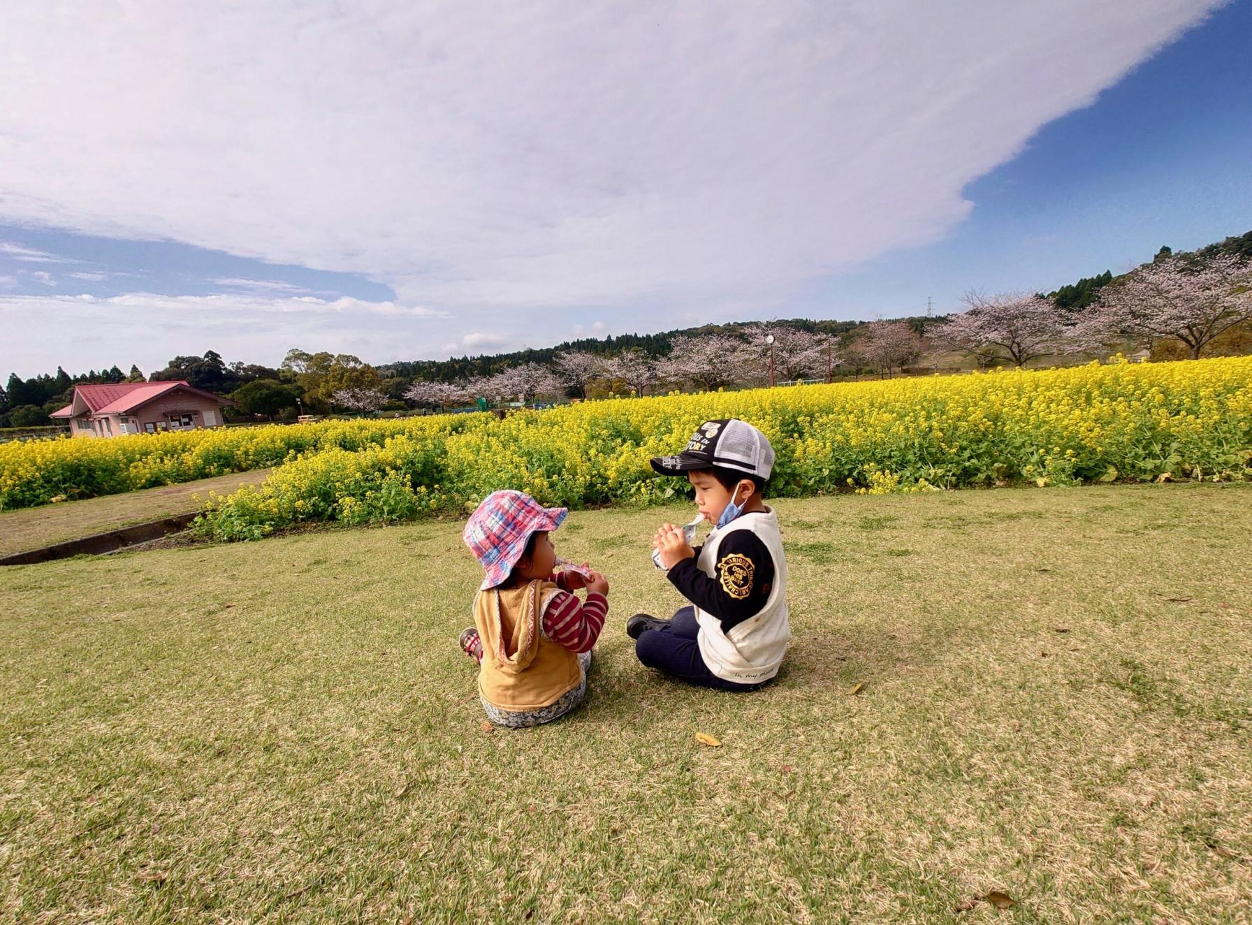 #都市農業センター #鹿児島市-1