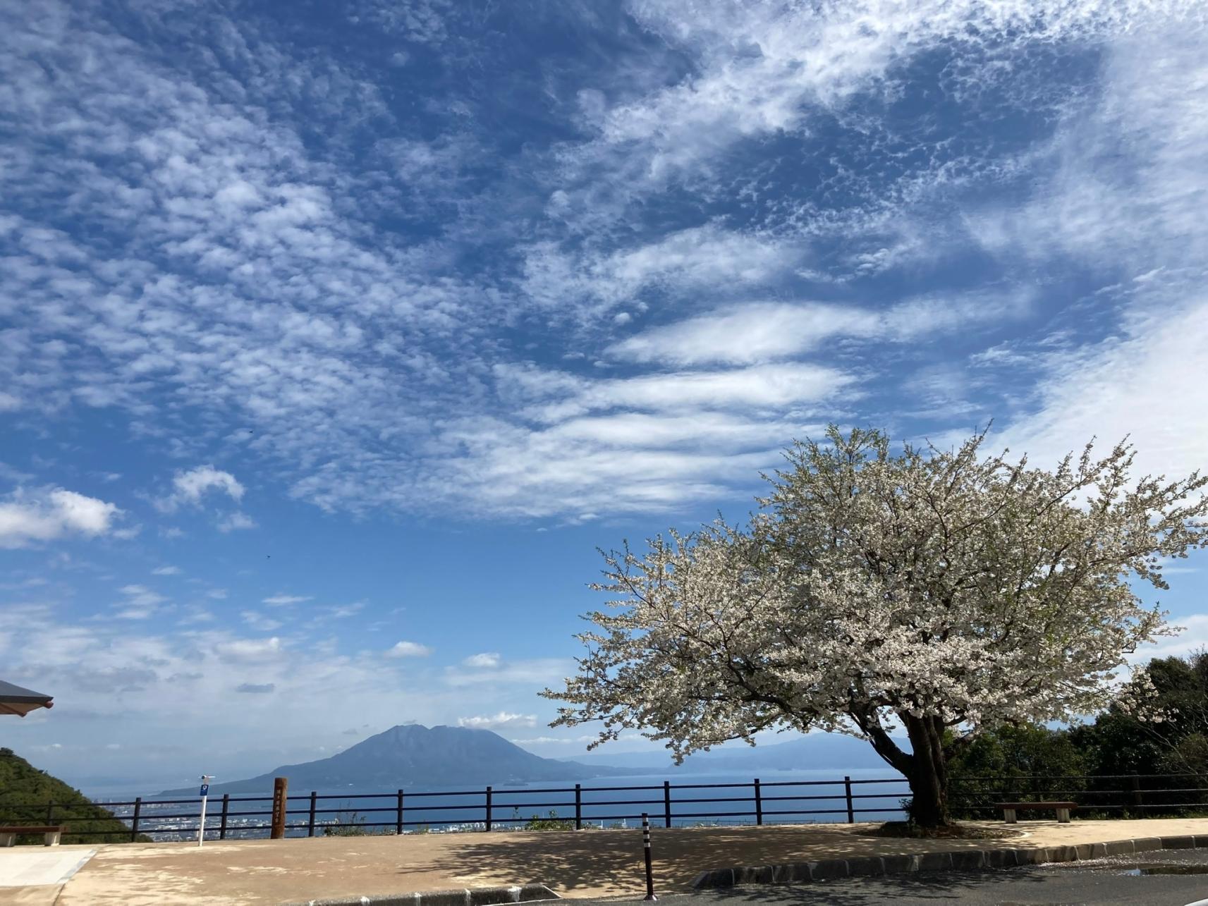 #須々原展望台&nbsp;#鹿児島市-1