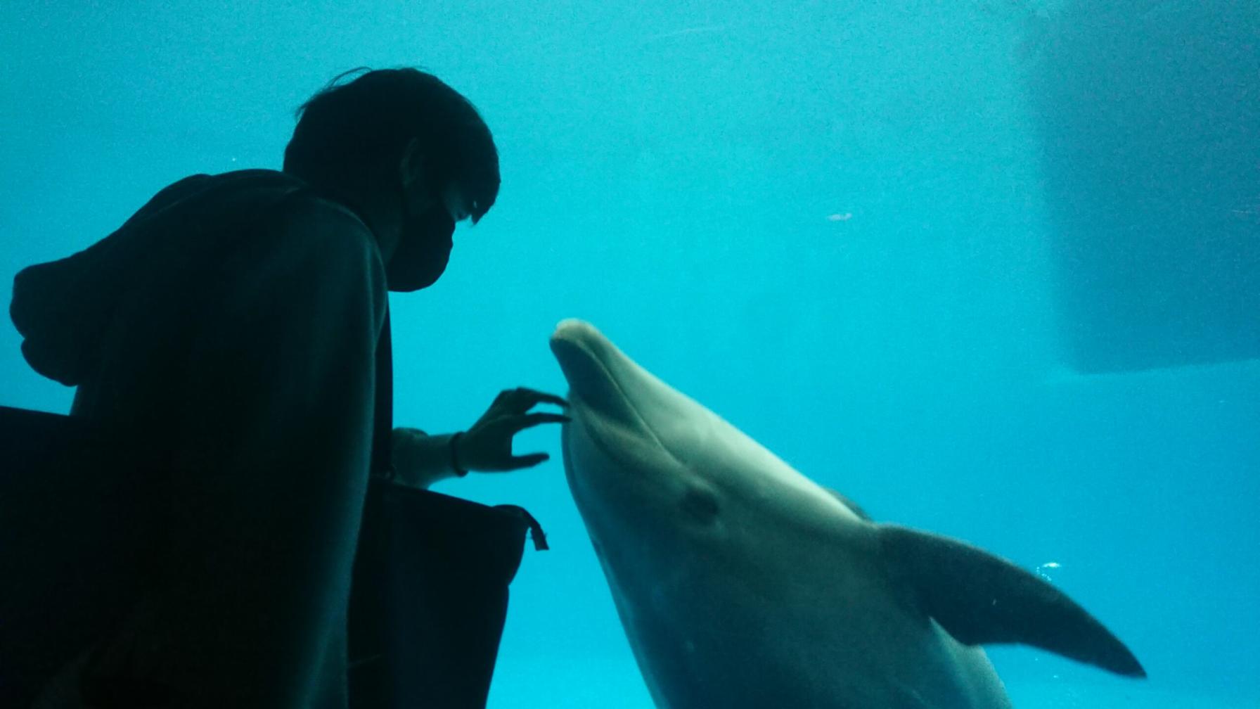 #いおワールドかごしま水族館 #鹿児島市-1