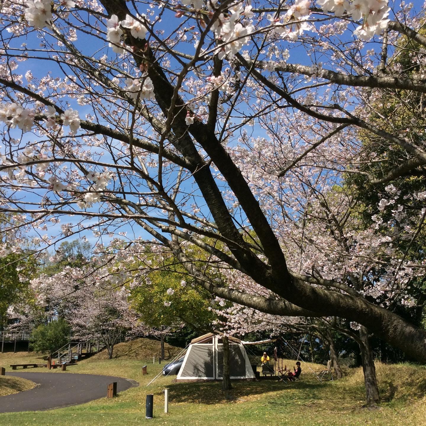 #大隅広域公園オートキャンプ場 #鹿屋市-1