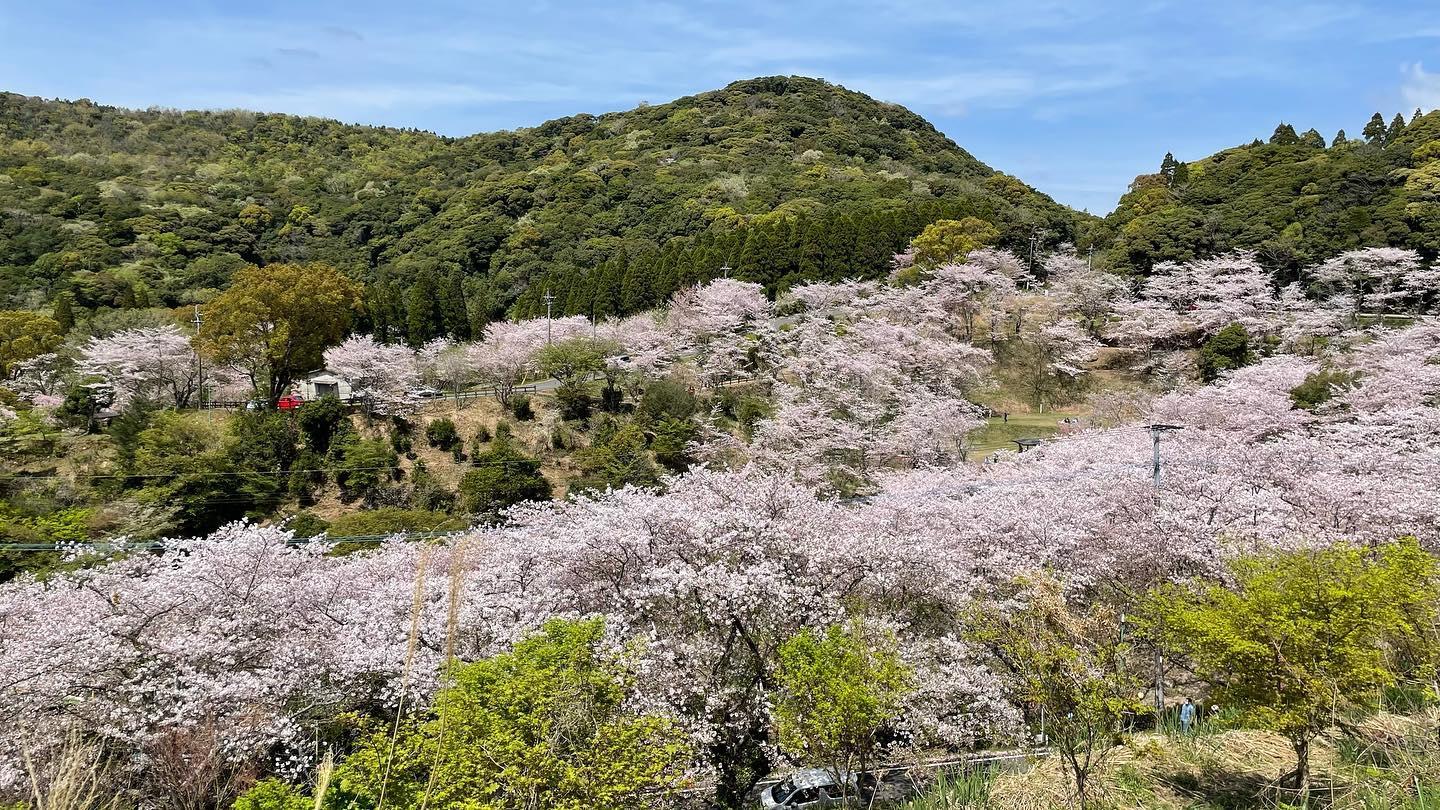 #観音ヶ池市民の森-1