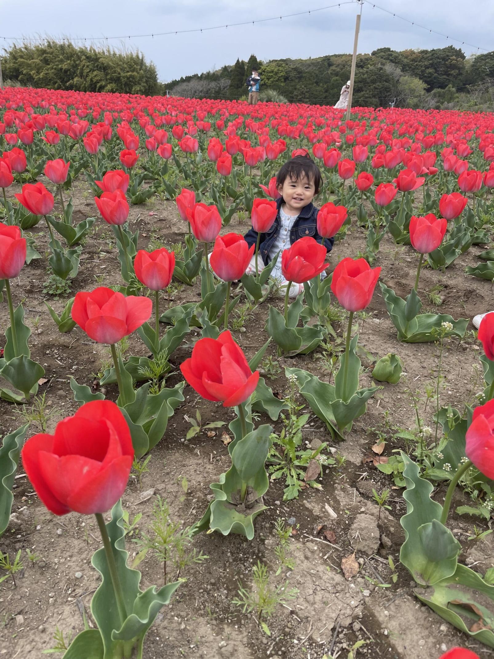 #霧島ヶ丘公園 #鹿屋市-1