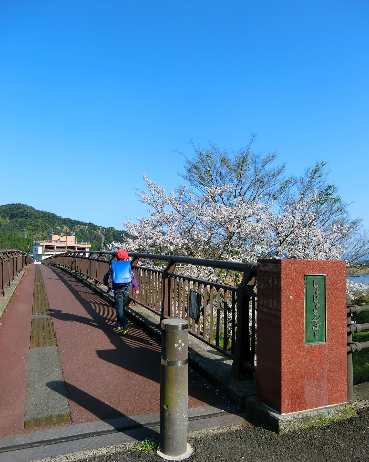 #しゅじゅどん橋 #霧島市-1