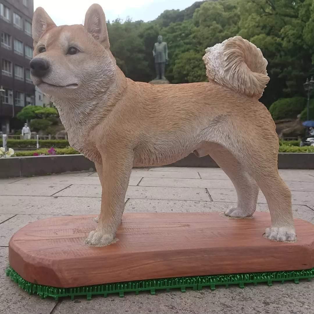 #西郷銅像撮影ひろばの犬 #鹿児島市-1