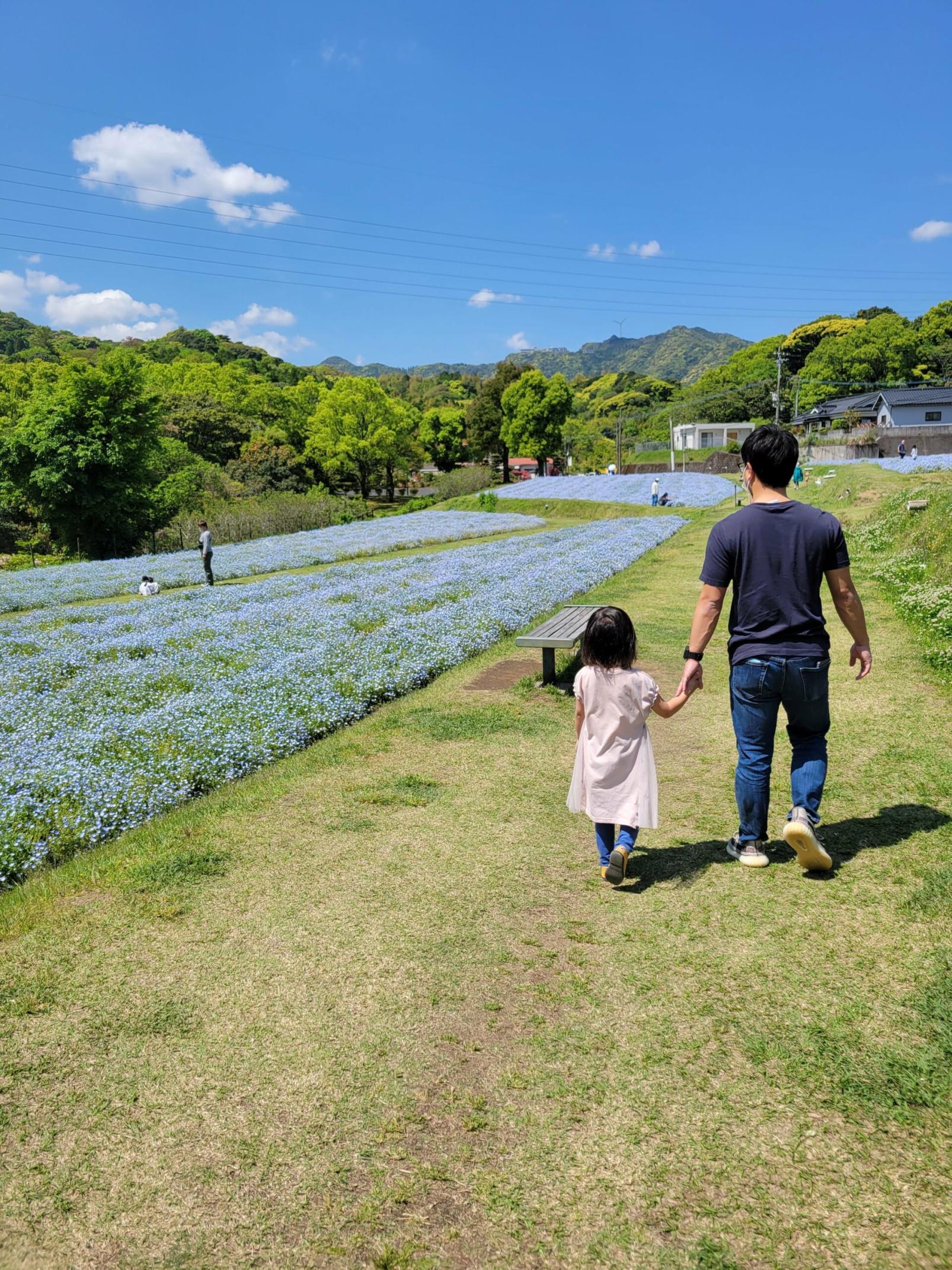 #慈眼寺公園 #鹿児島市-1