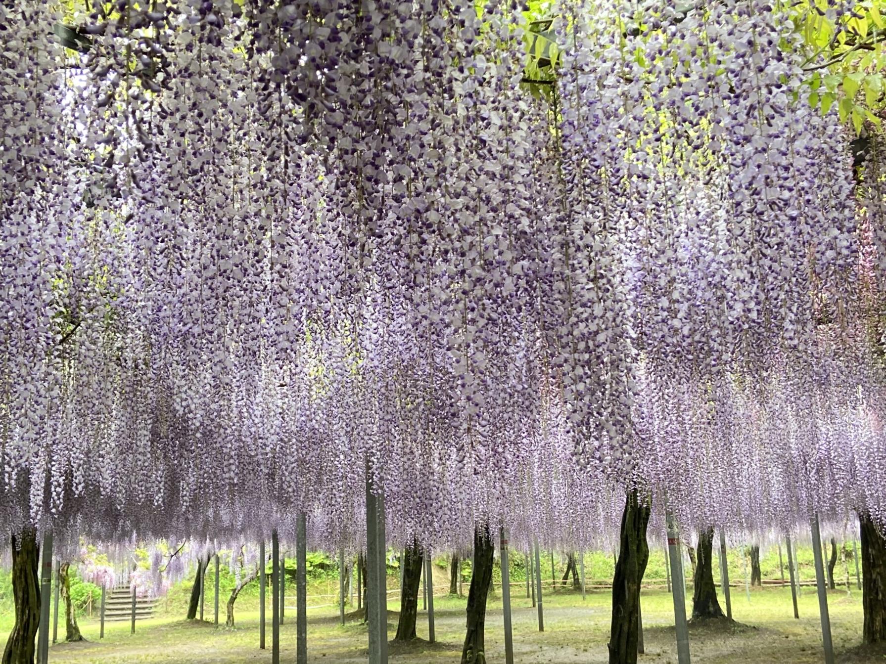 #和気神社 #霧島市-1