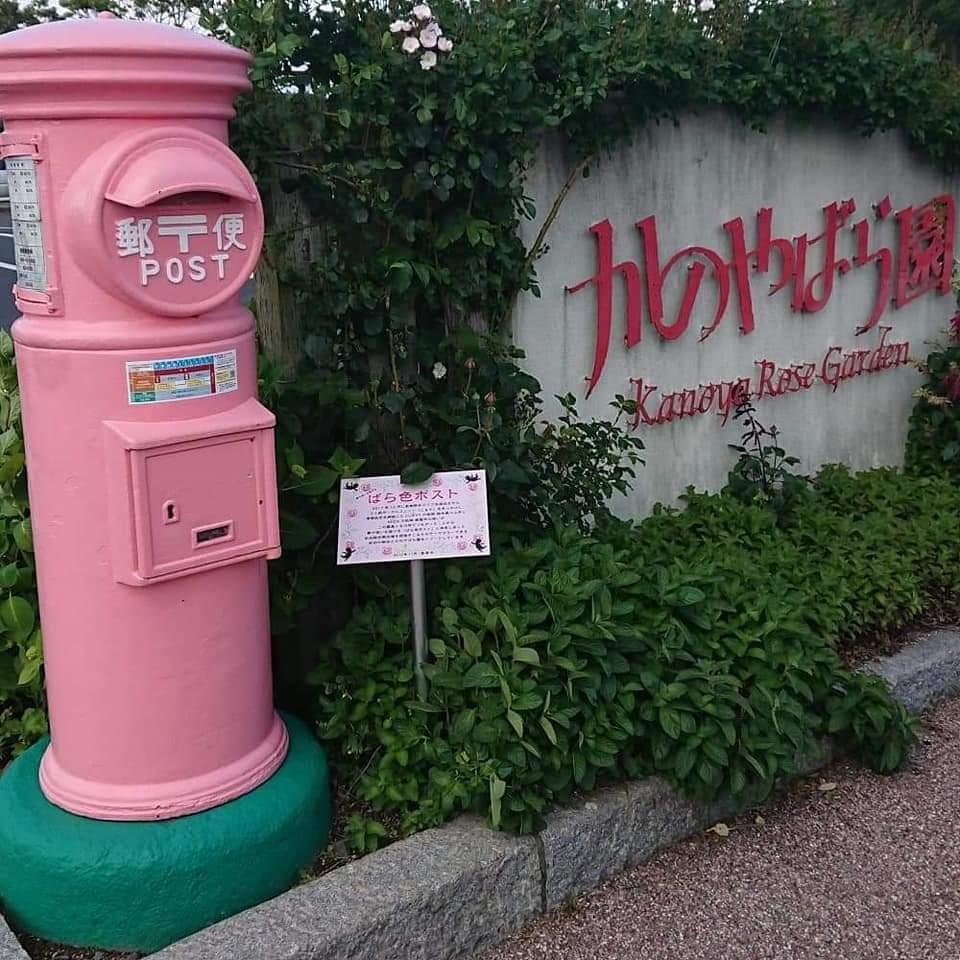 #かのやばら園&nbsp;#鹿屋市-1