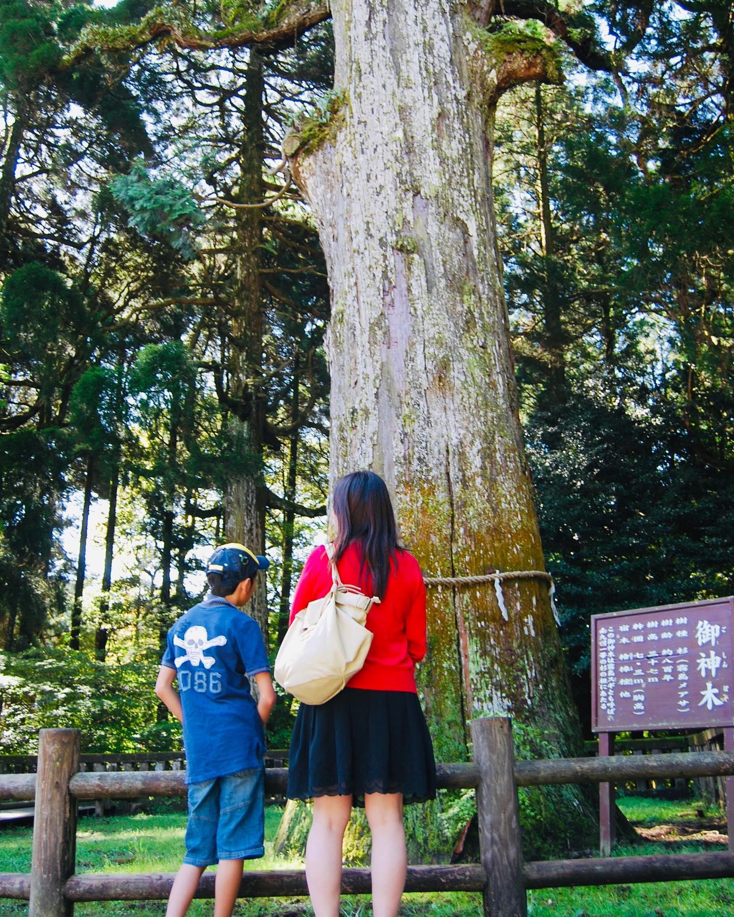 #霧島神社-1