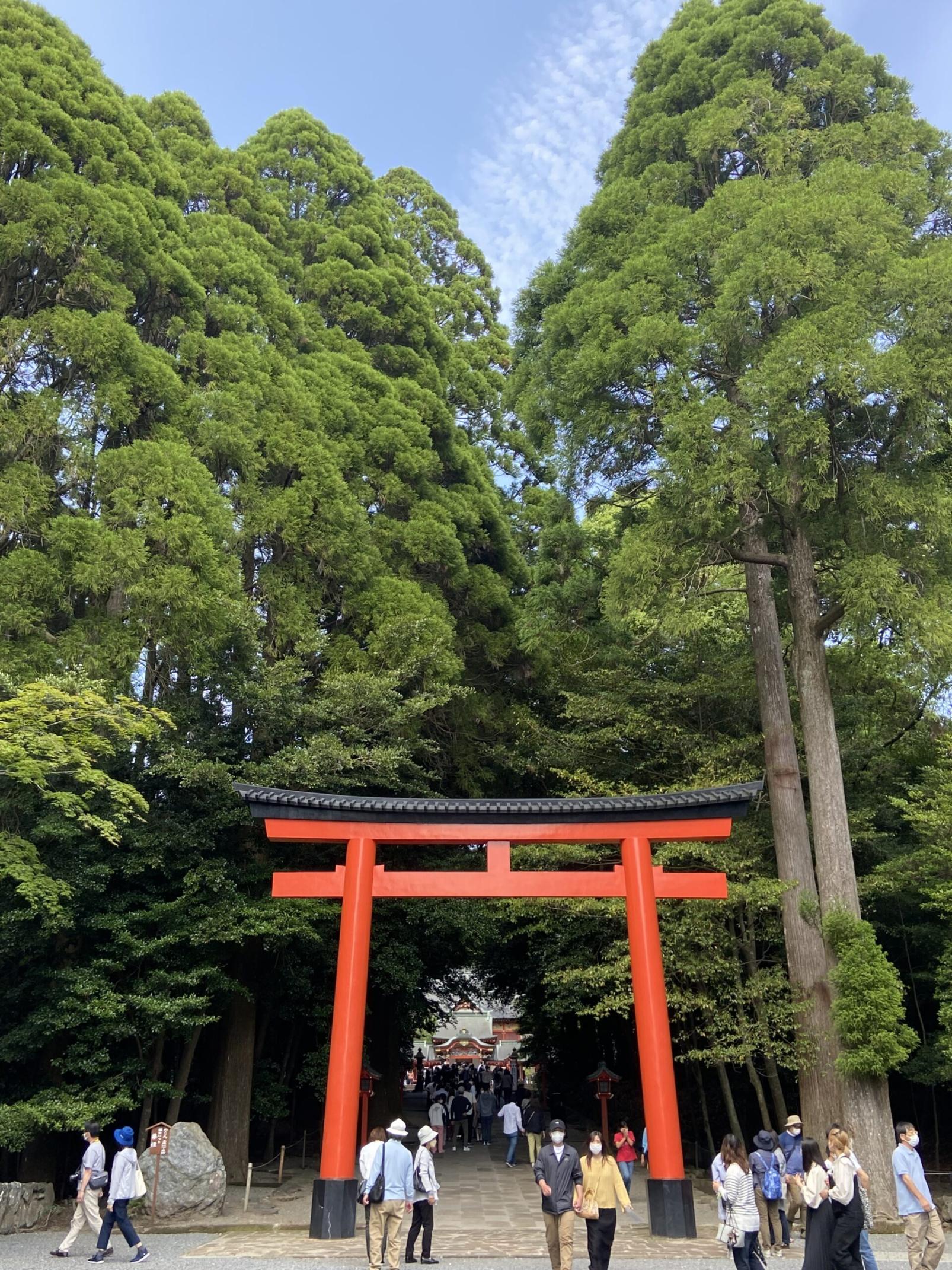 #霧島神宮&nbsp;#霧島市-1