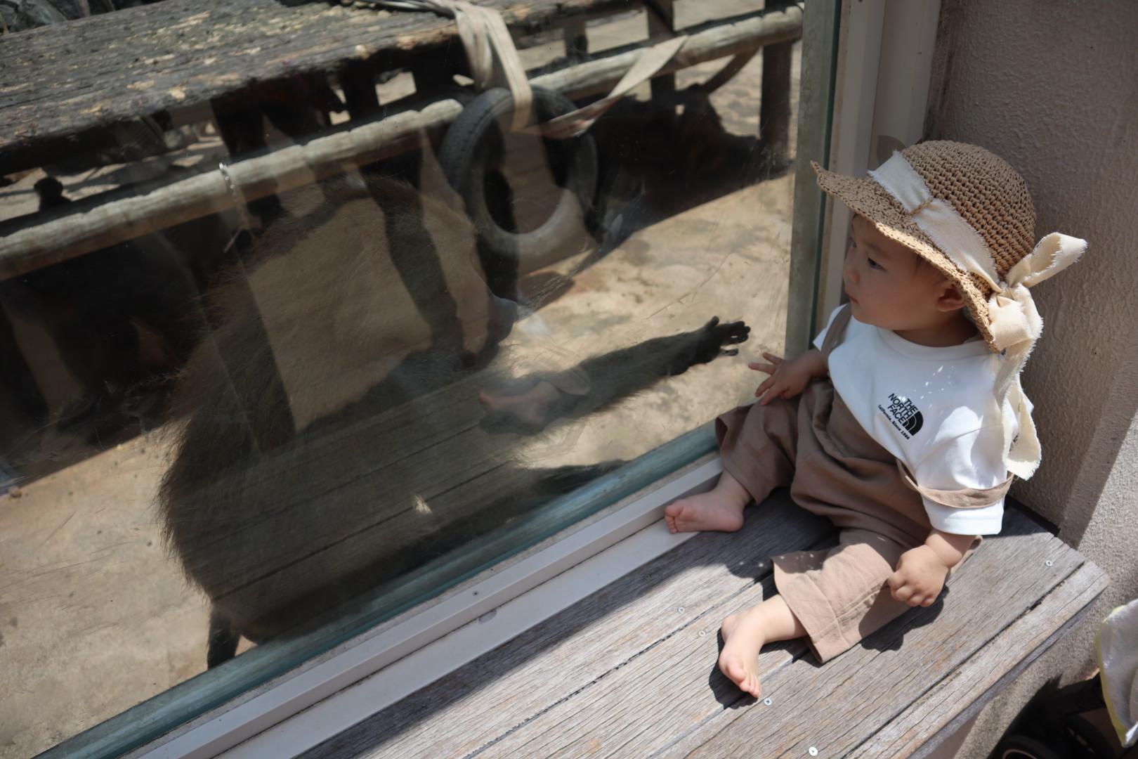 #平川動物公園 #鹿児島市-1