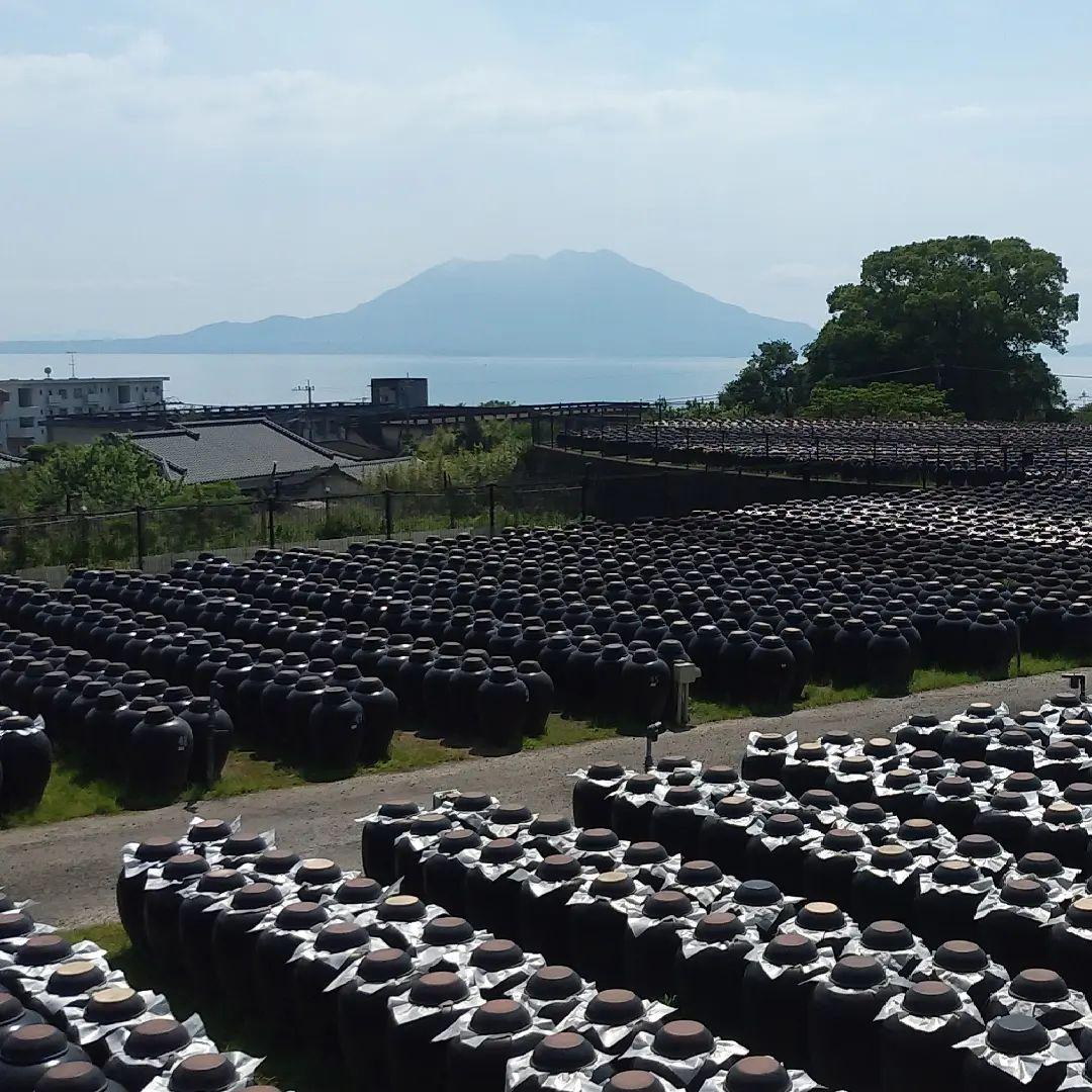 #霧島の黒酢&nbsp;#霧島市-1