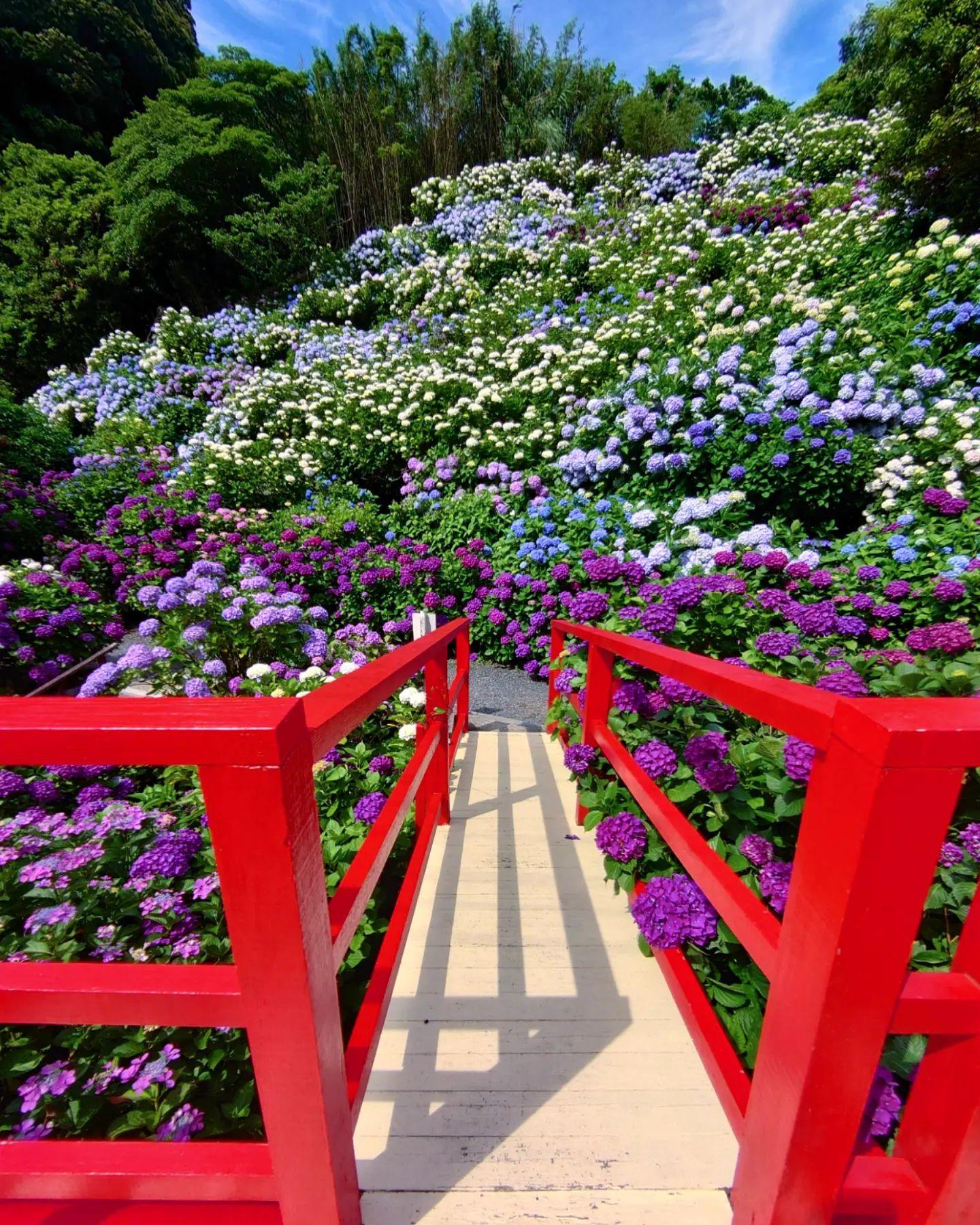 #長野滝&nbsp;#薩摩川内市-1