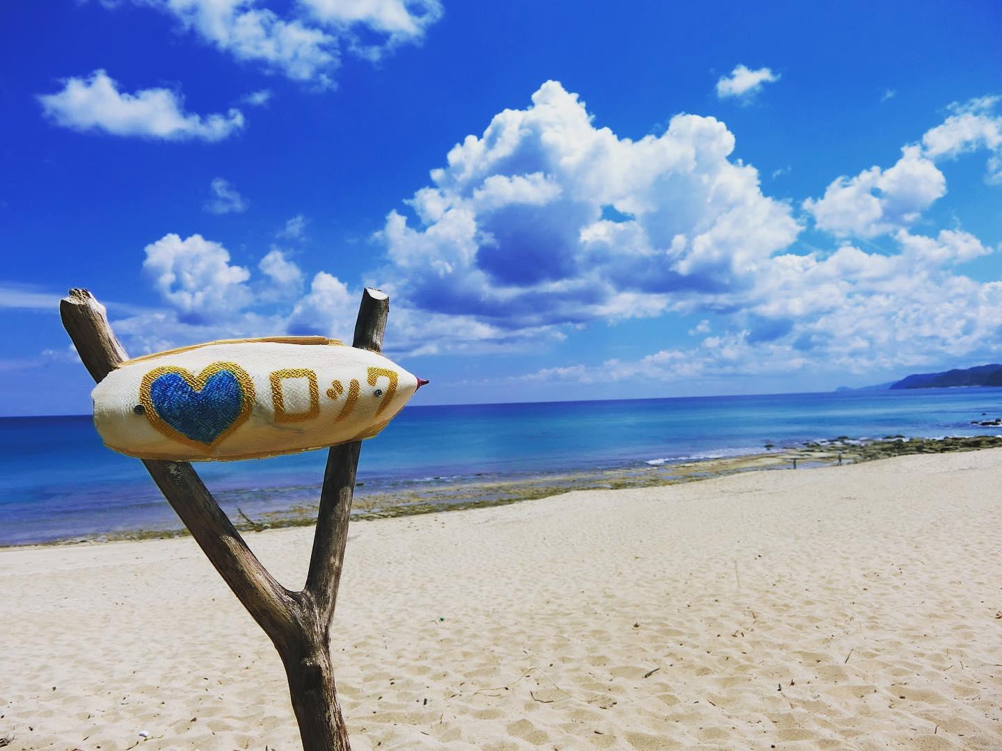 #大島郡龍郷町赤尾木&nbsp;#海-1