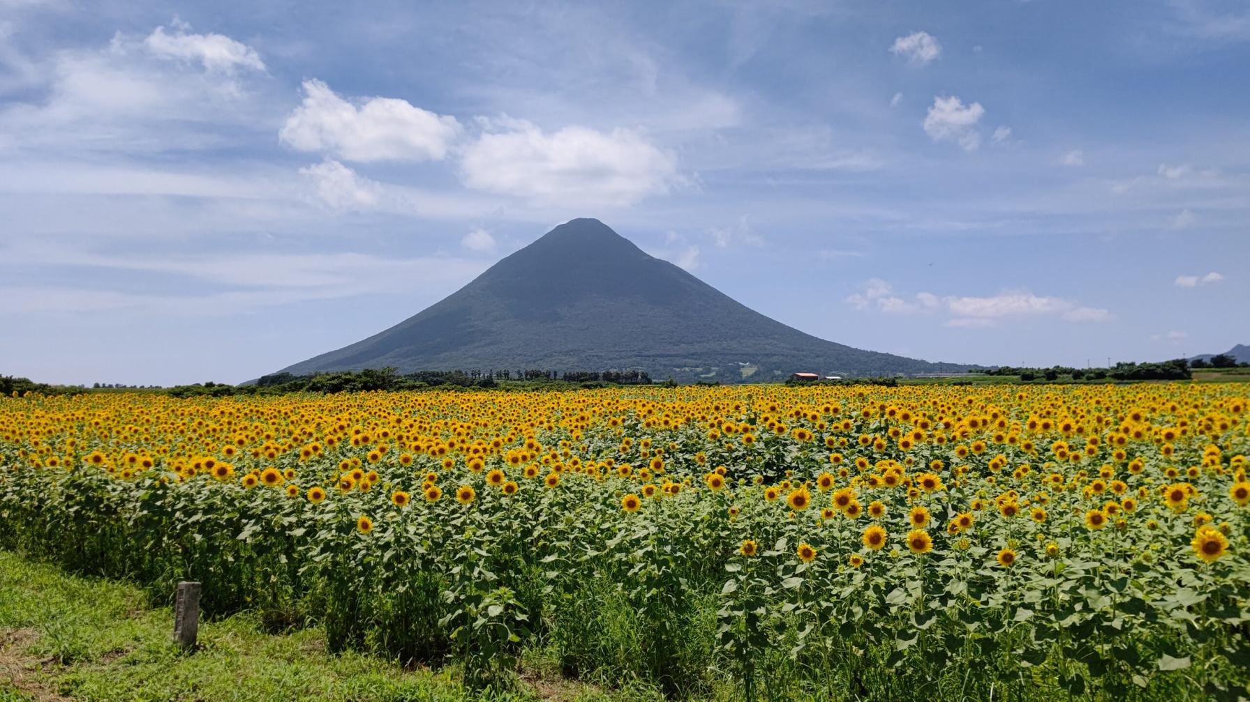 #開聞岳 #指宿市-1