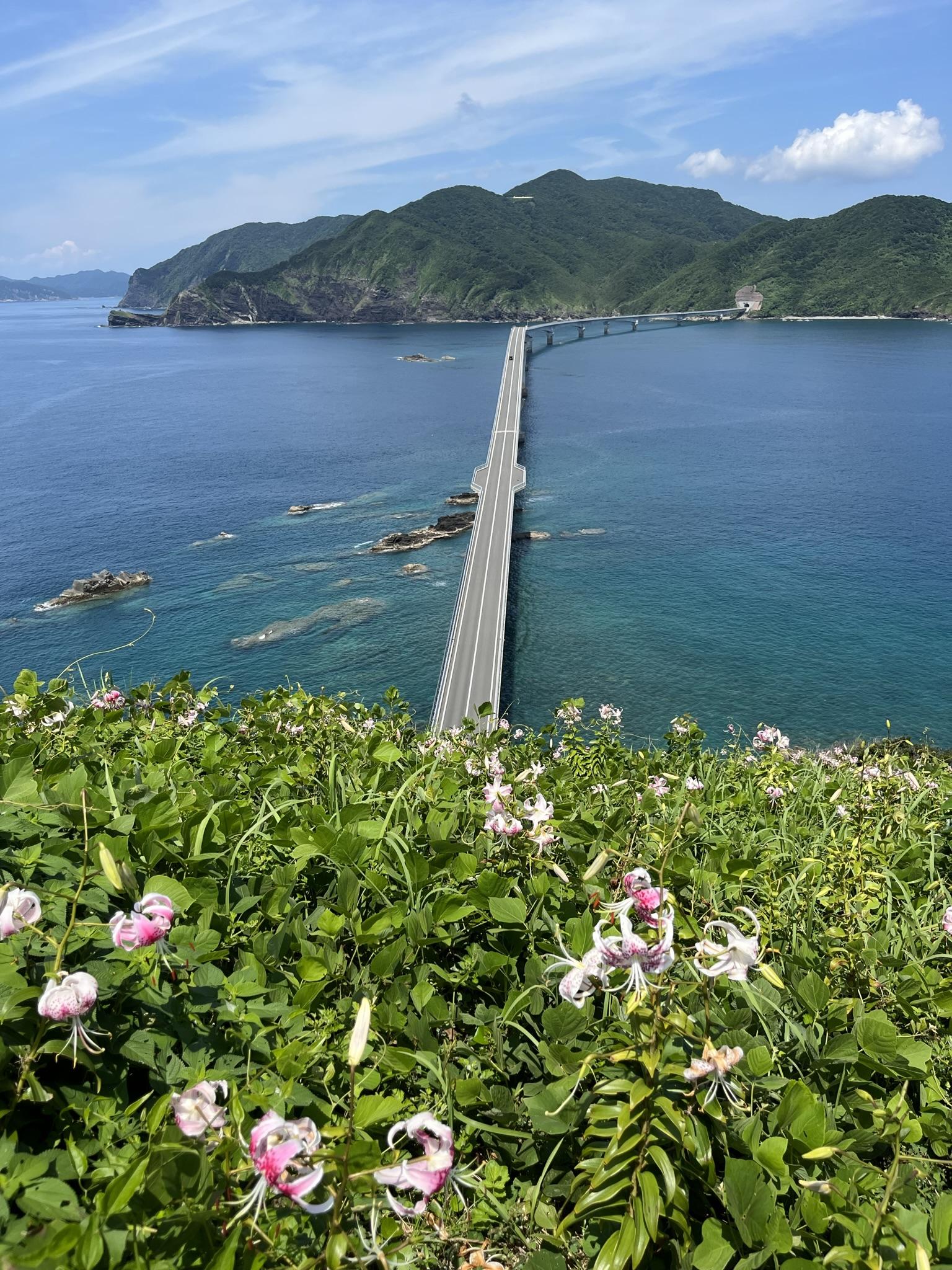 #甑大橋&nbsp;#薩摩川内市-1