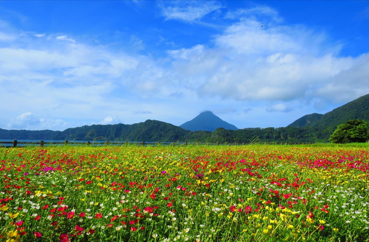 #池田湖 #指宿市-1