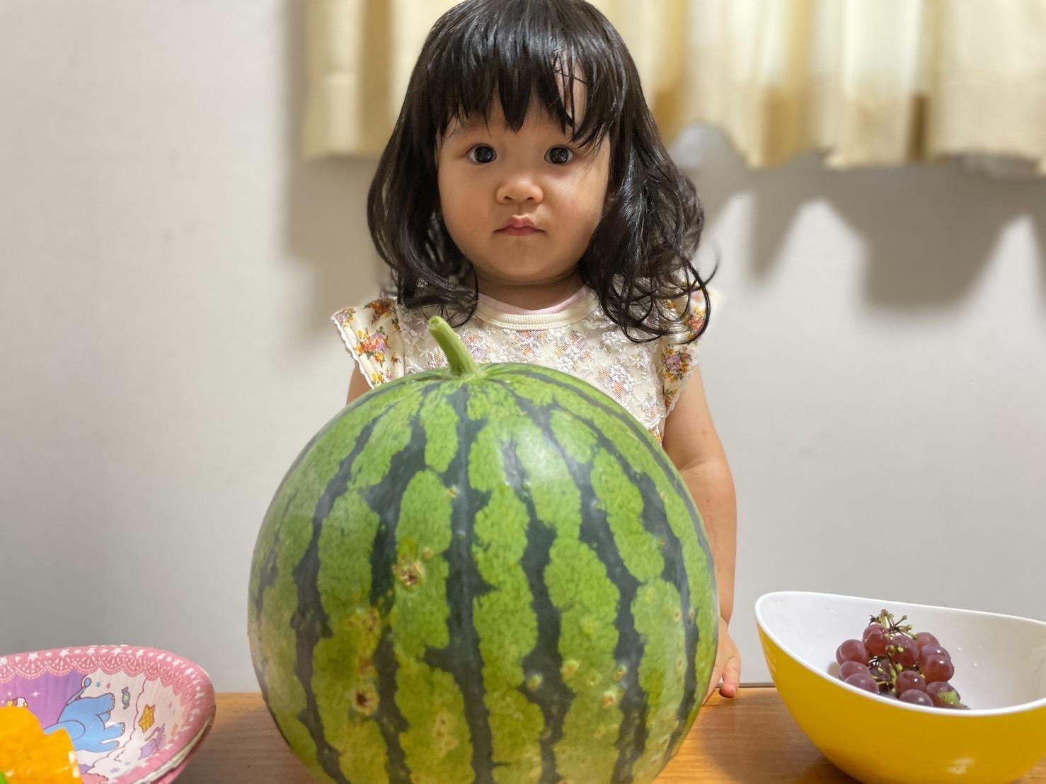 #じぃじの作ったすいか&nbsp;#姶良市-1
