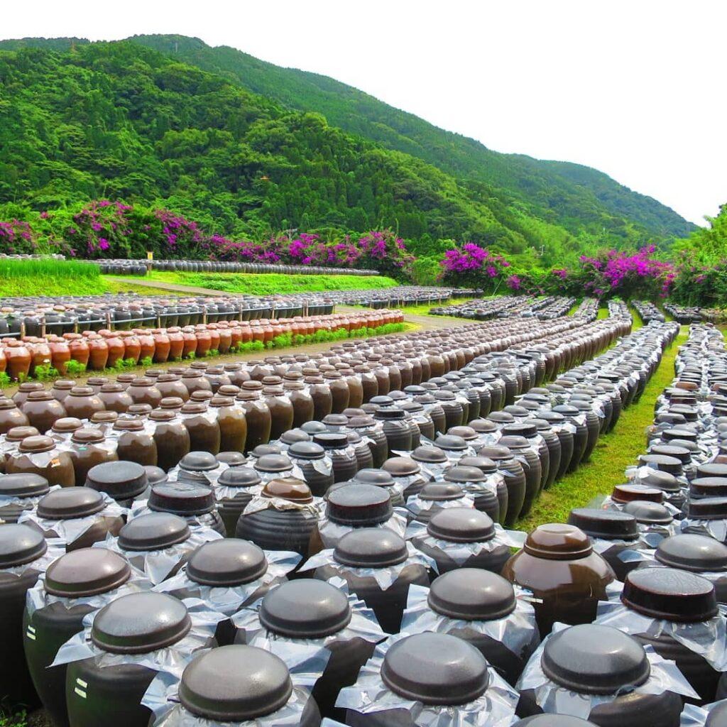 #黒酢の郷桷志田&nbsp;#霧島市-1