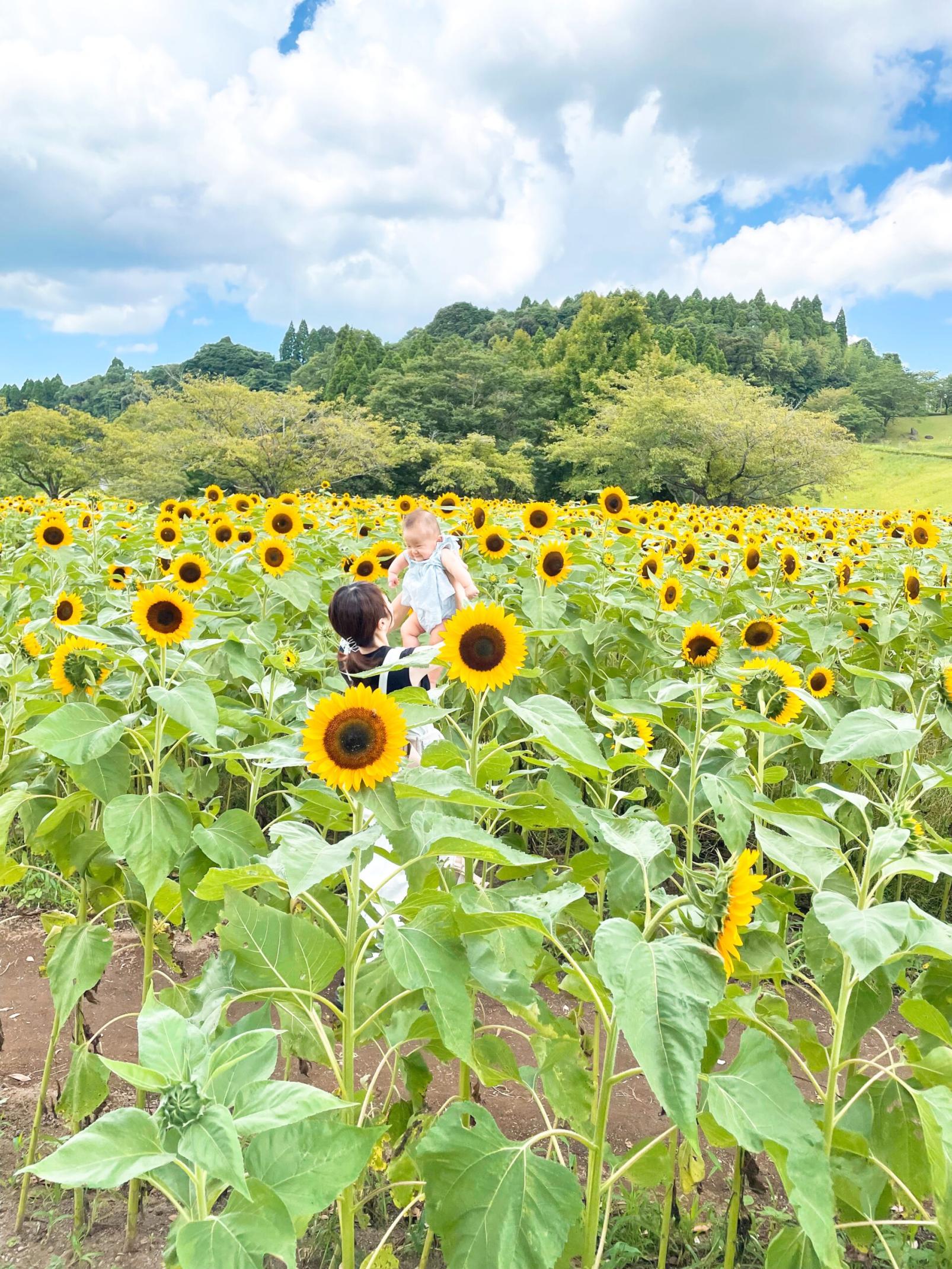 #都市農業センター #鹿児島市-1