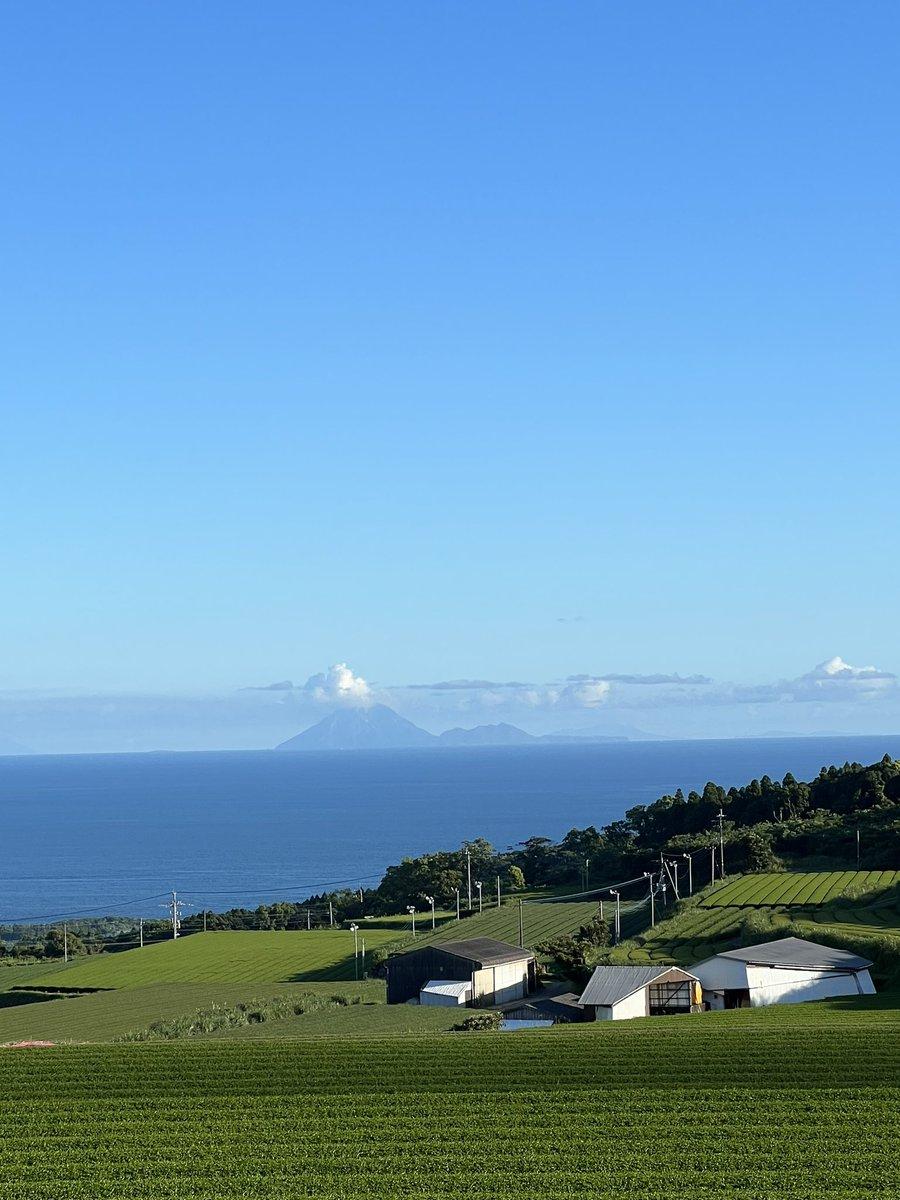 #枕崎の茶畑&nbsp;#硫黄島-1