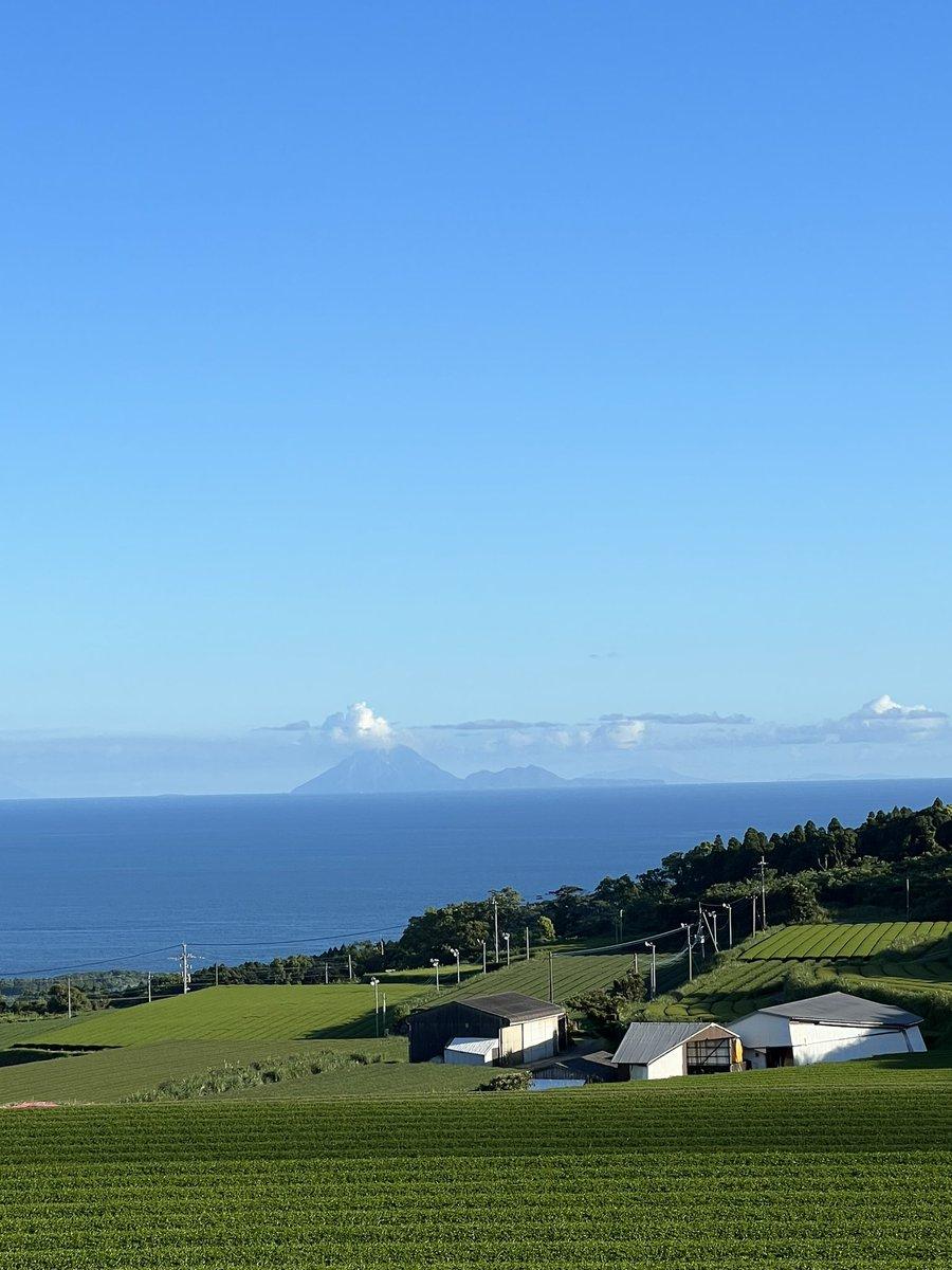 #枕崎の茶畑 #硫黄島-1