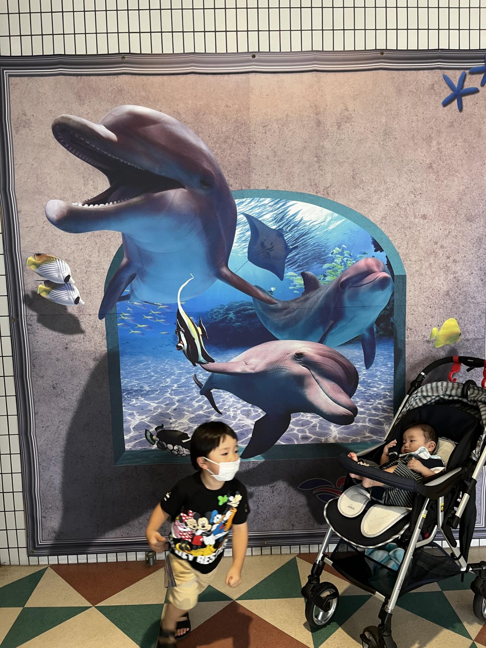#鹿児島水族館&nbsp;#鹿児島市-1