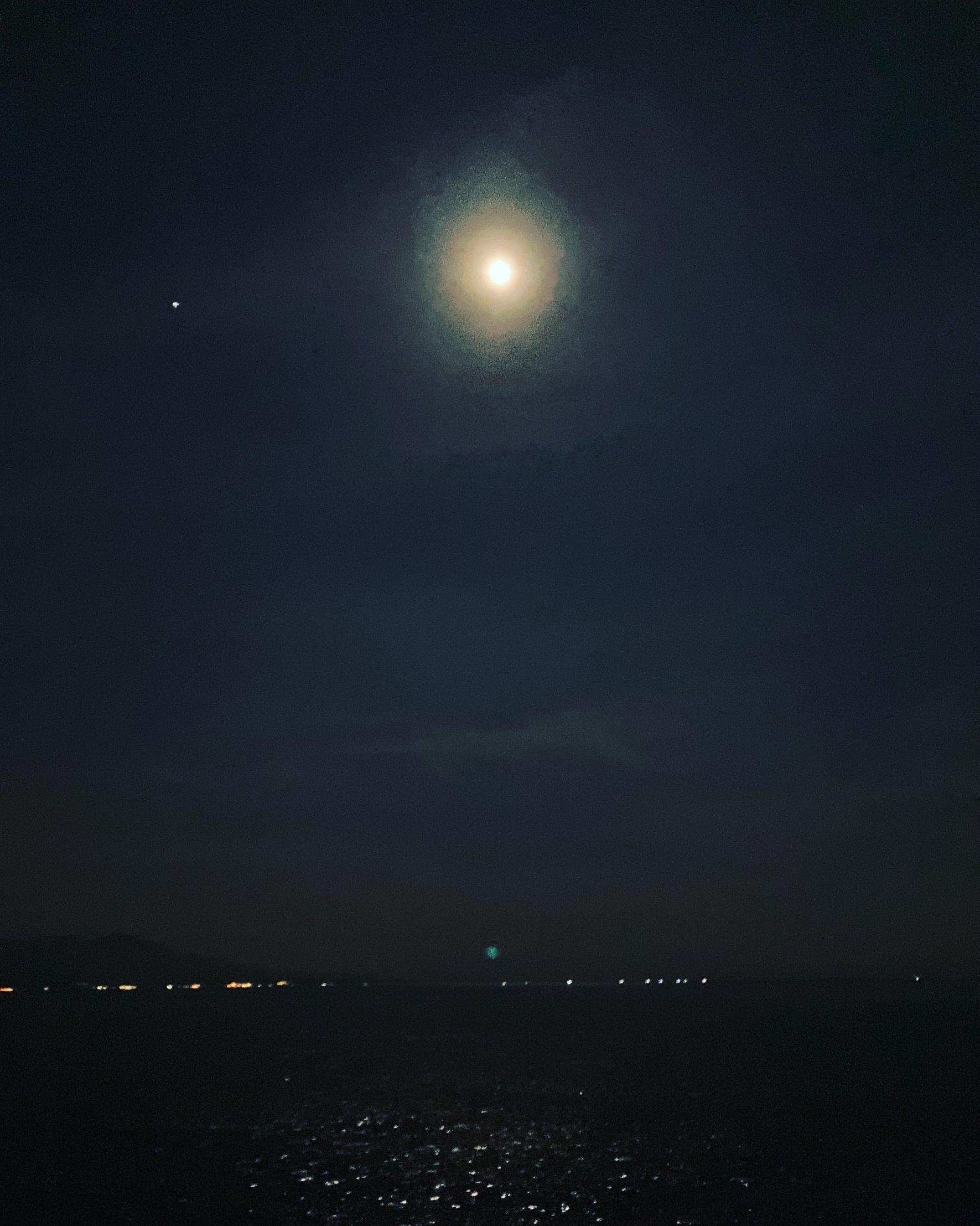 #錦江湾&nbsp;#鹿児島市-1