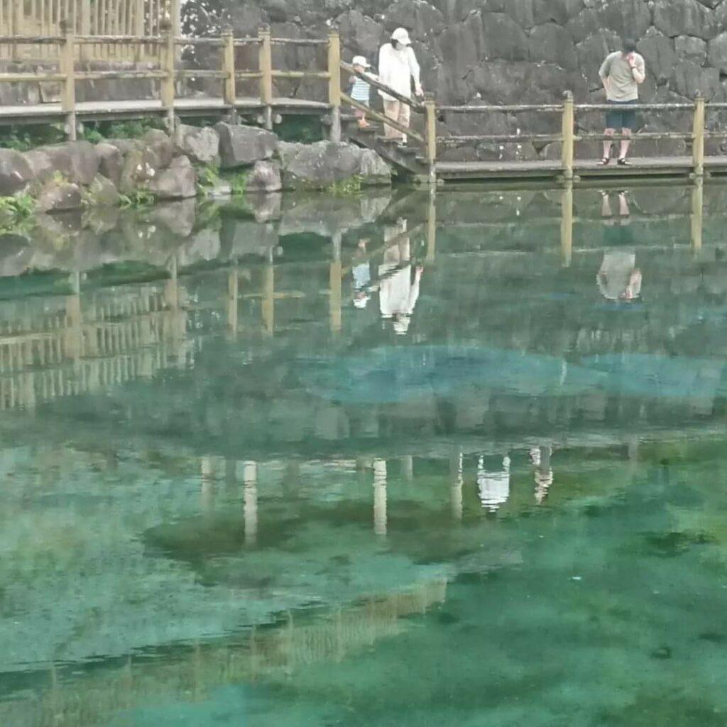 #丸池湧水&nbsp;#湧水町-1