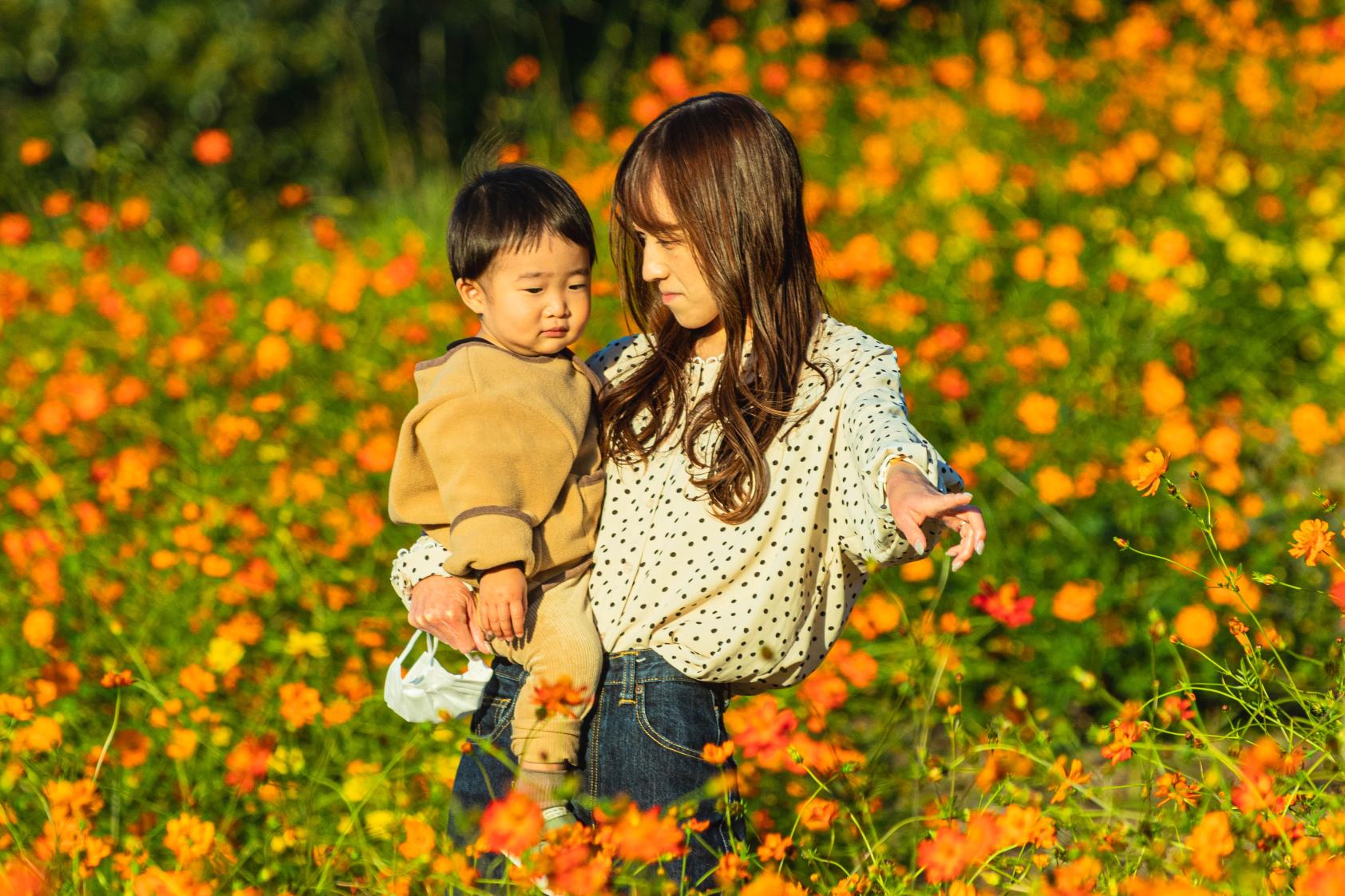 #錦江湾公園 #鹿児島市-1