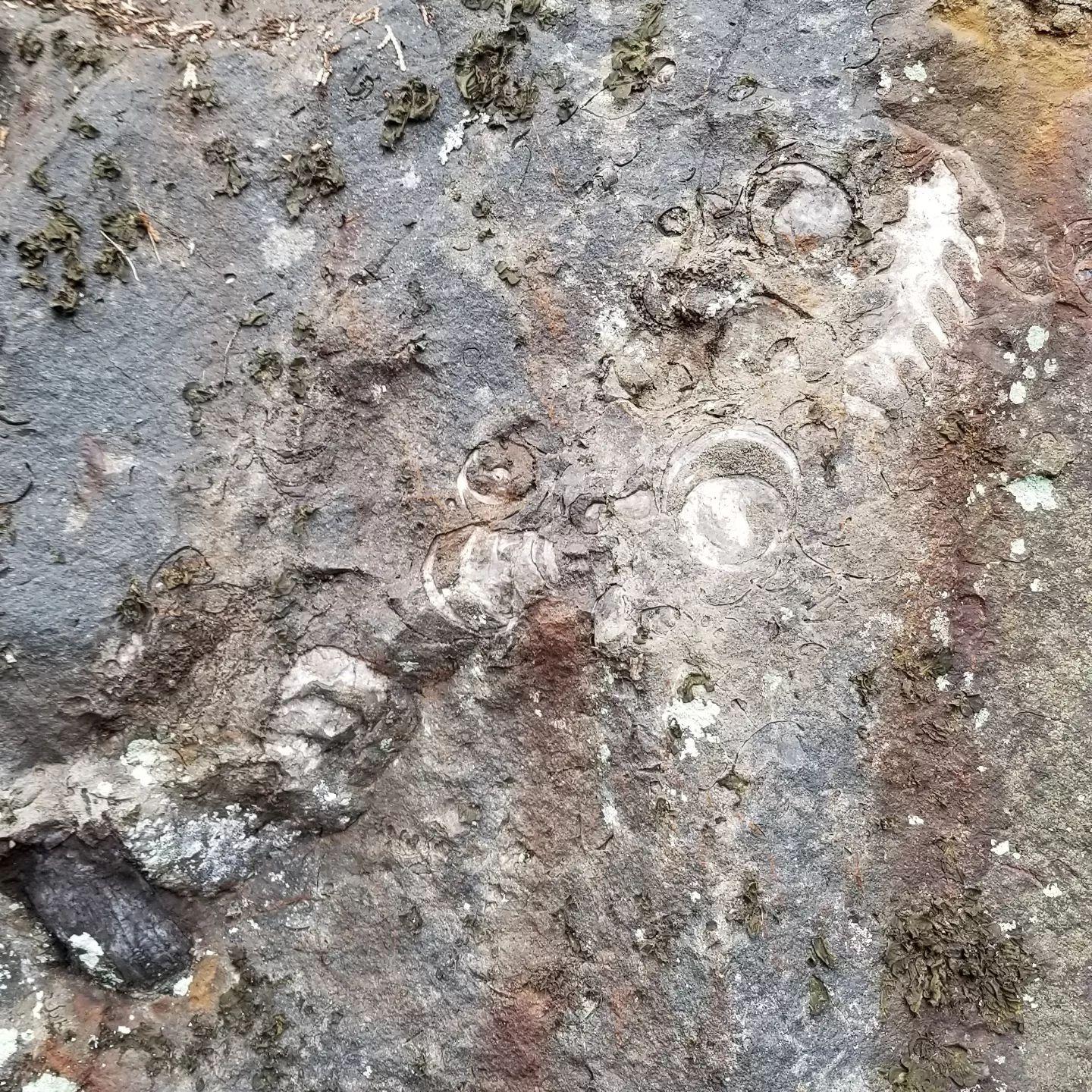 #七郎⼭&nbsp;#恐⻯王国&nbsp;#出⽔郡⻑島町獅⼦島-1