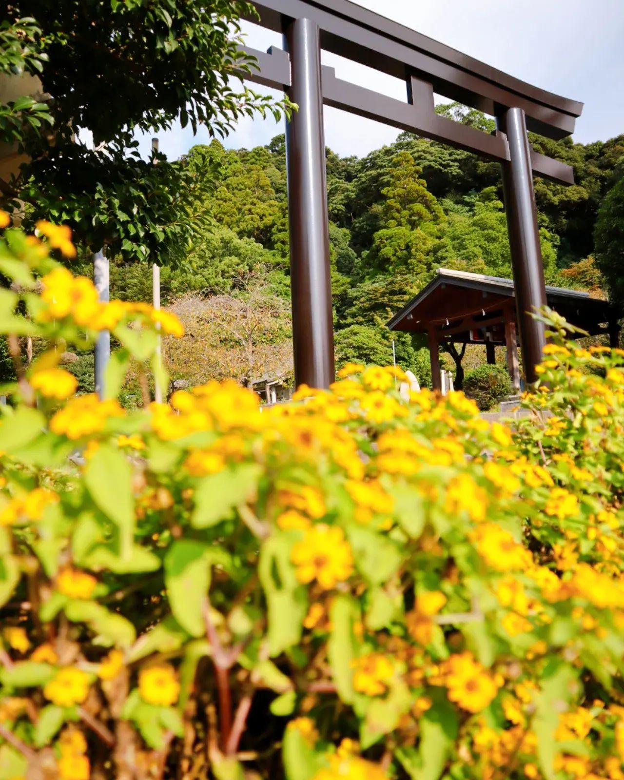 #護国神社&nbsp;#鹿児島市-1