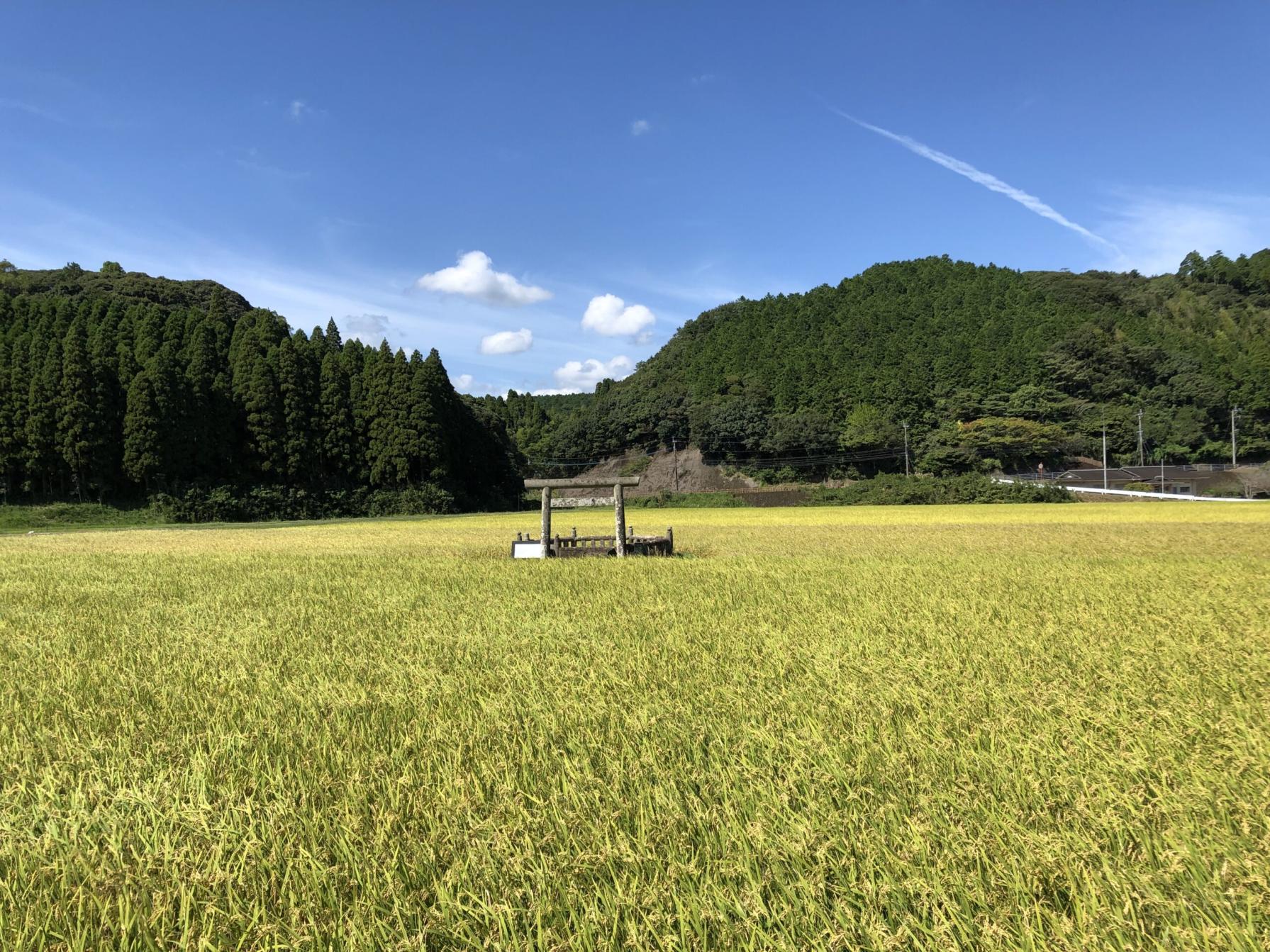 #豊玉姫陵&nbsp;#南九州市-1