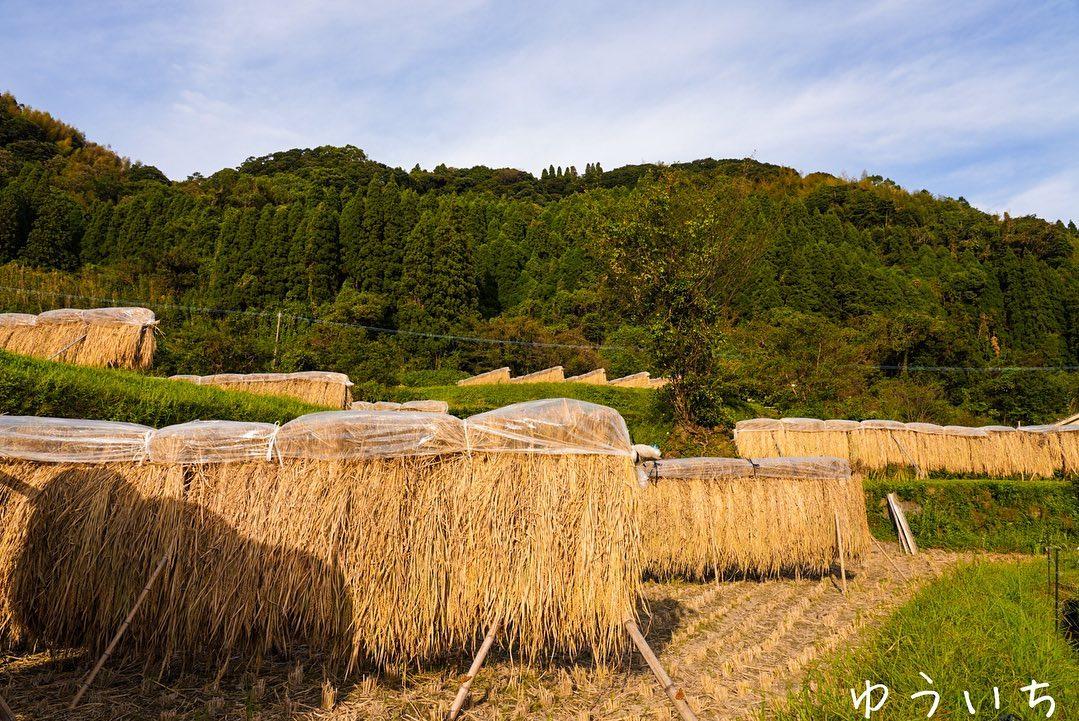 #小牧の棚田 #霧島市-1