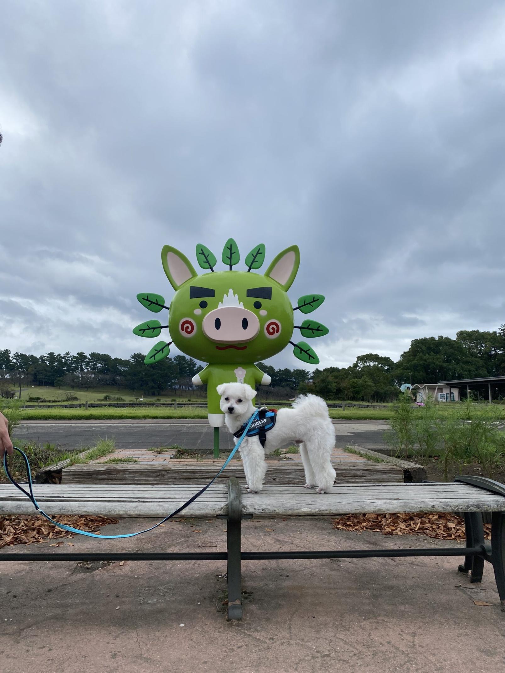 #吉野公園&nbsp;#鹿児島市-1