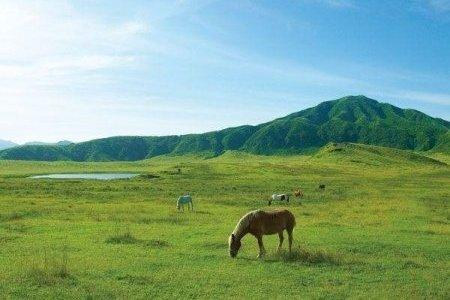  草千里ヶ浜 