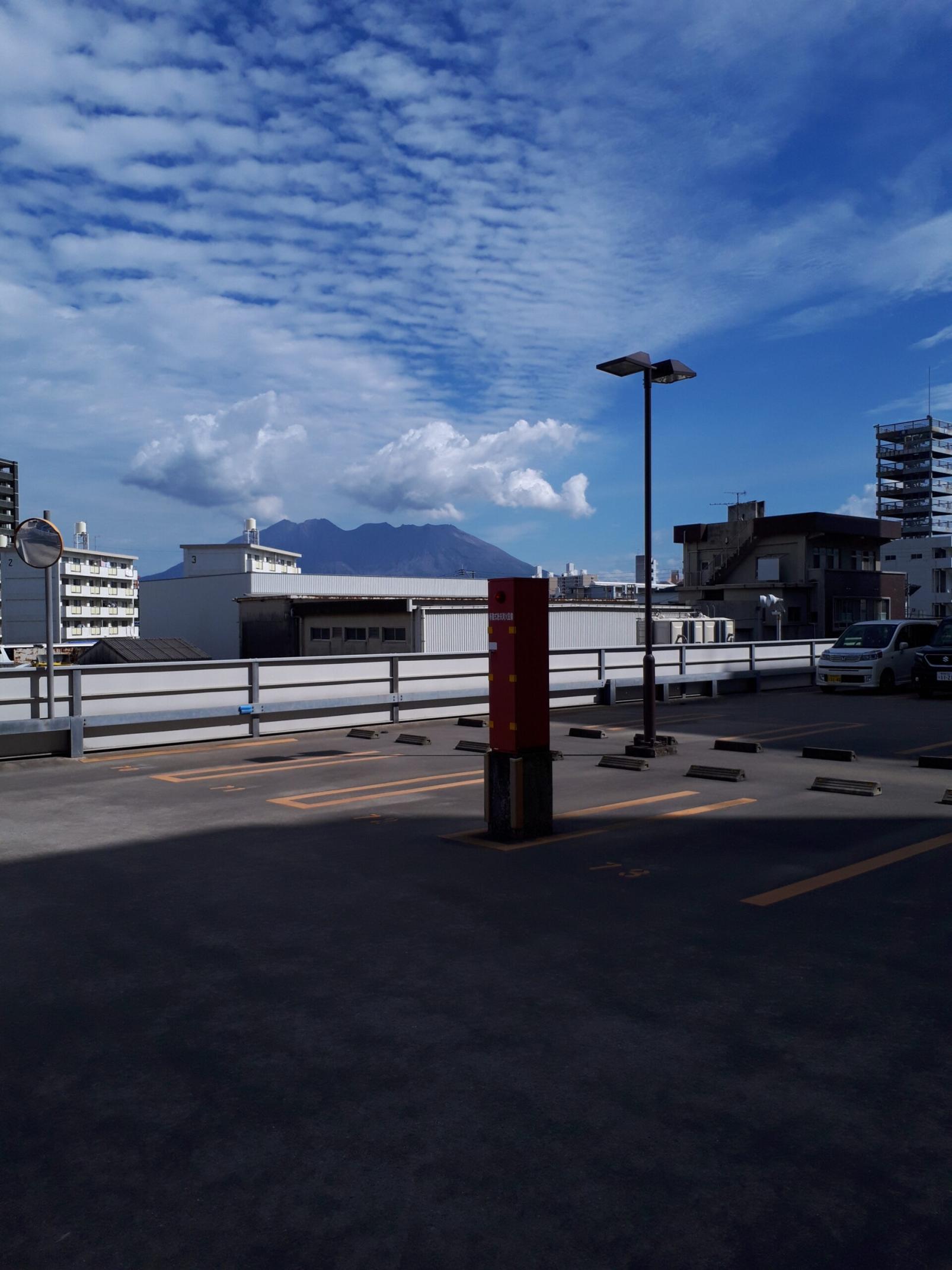 #金魚の親子&nbsp;#鹿児島市-1