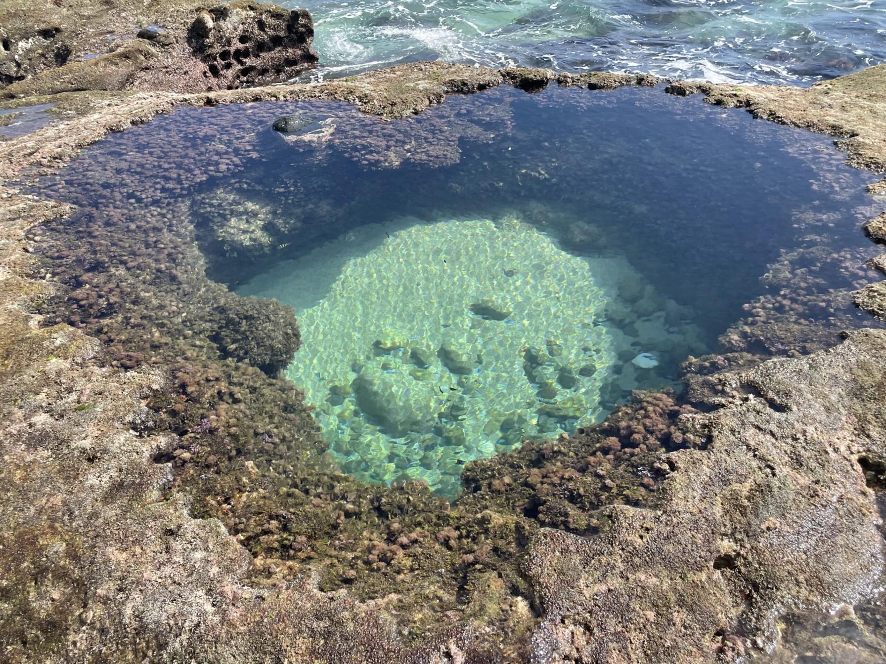 #ハートストーン&nbsp;#奄美大島-1