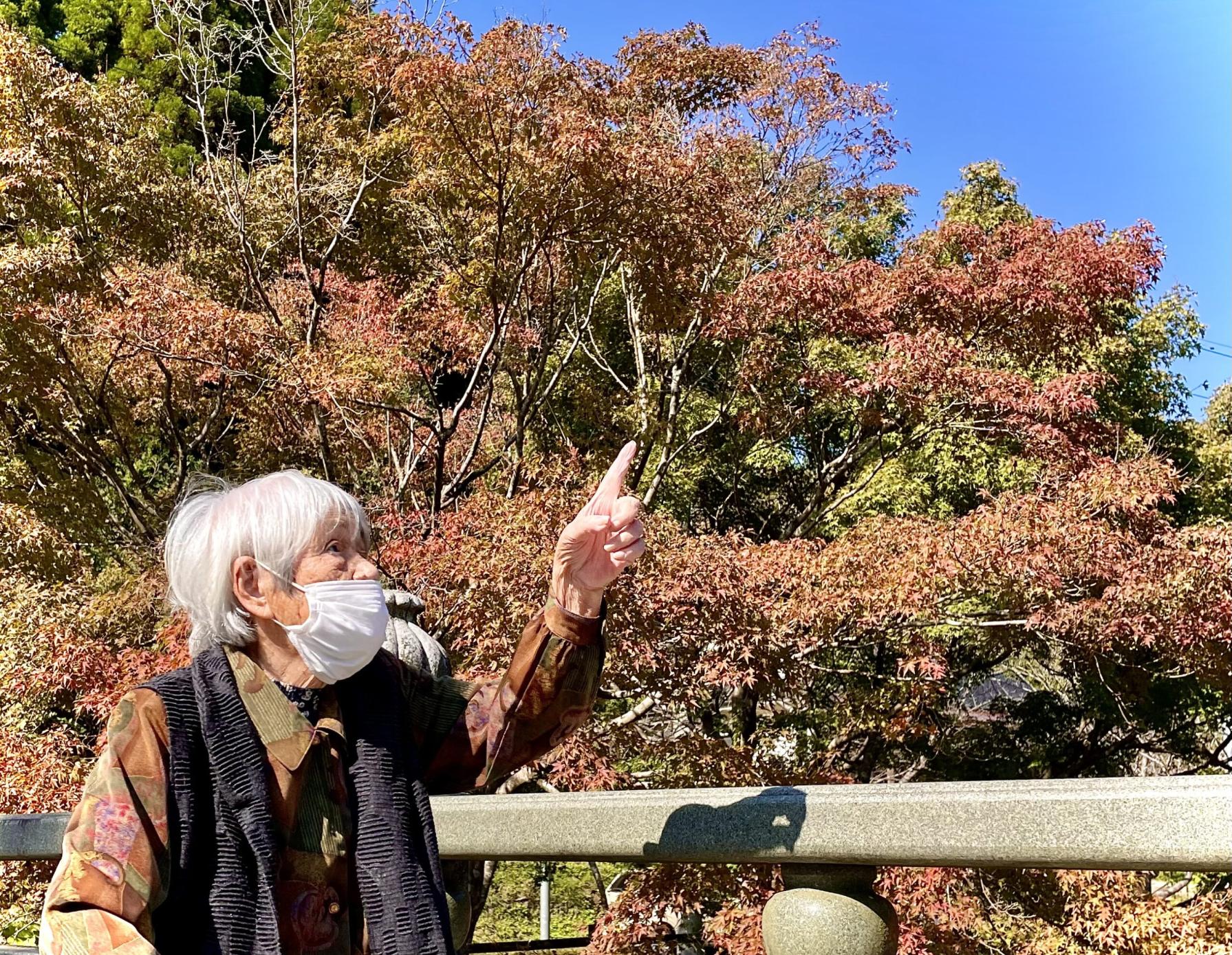 #冠嶽園&nbsp;#いちき串木野市-1