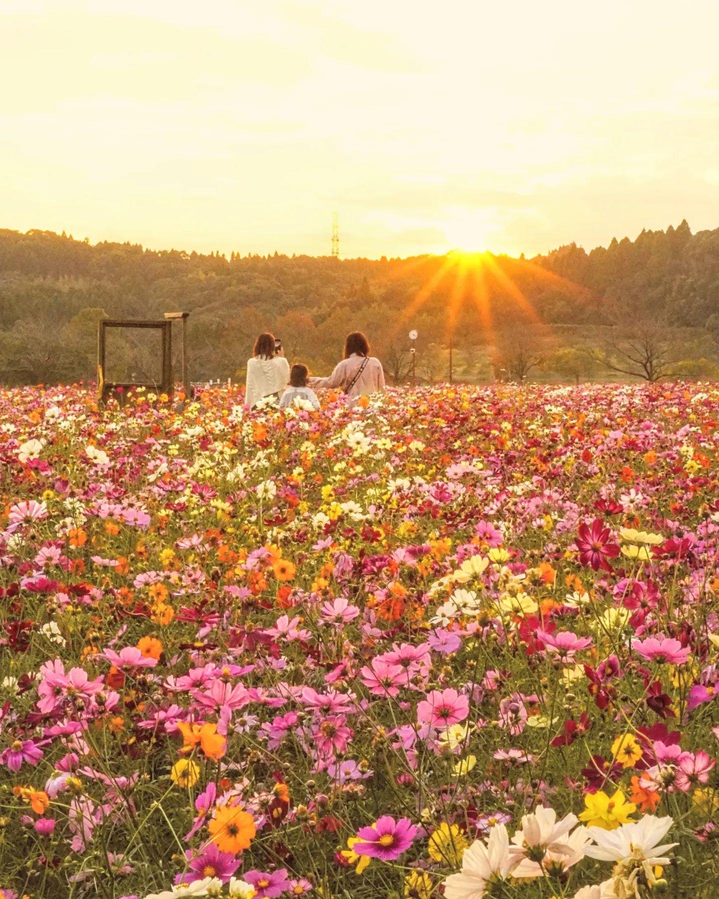 #都市農業センター #鹿児島市-1