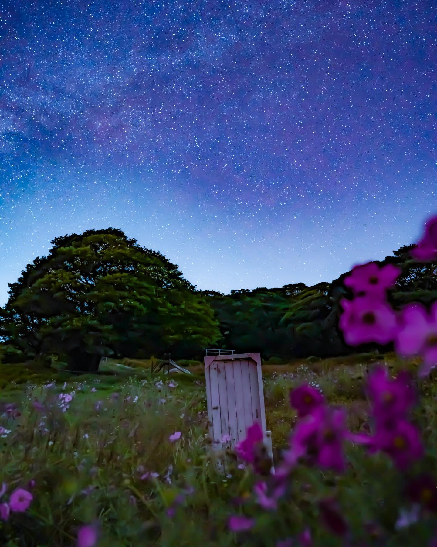 #柳山アグリランド&nbsp;#薩摩川内市-1